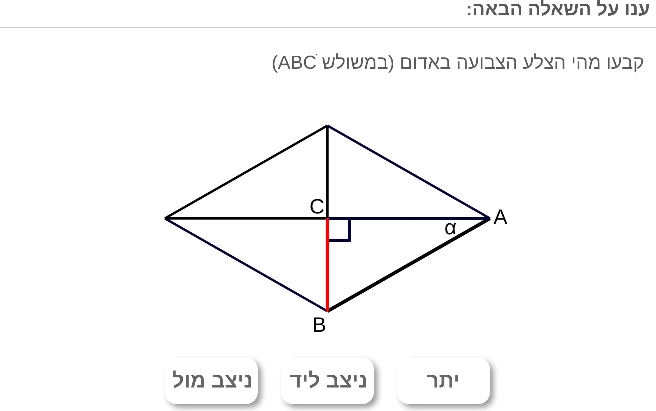 תמונה 6