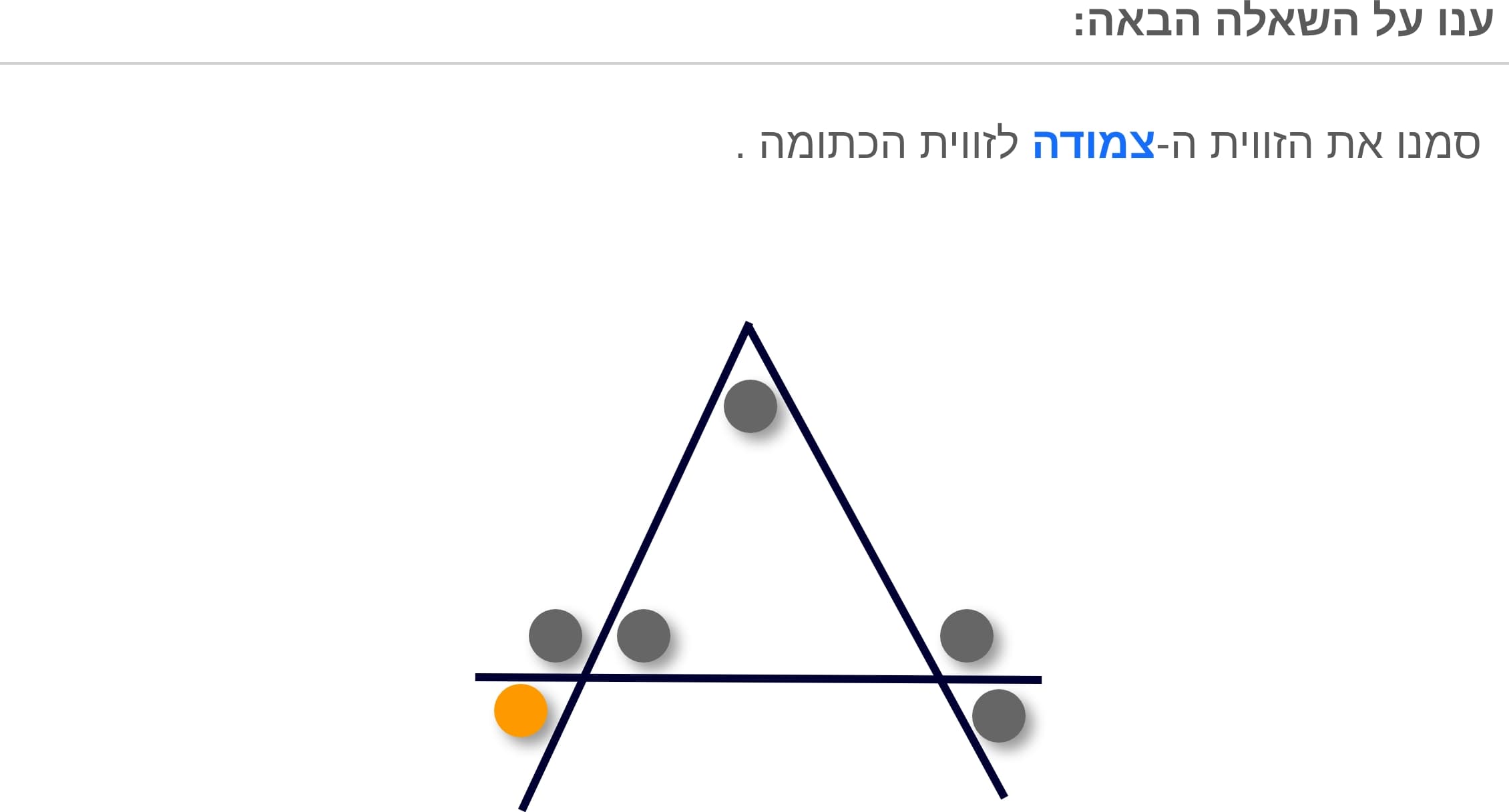 תמונה 2