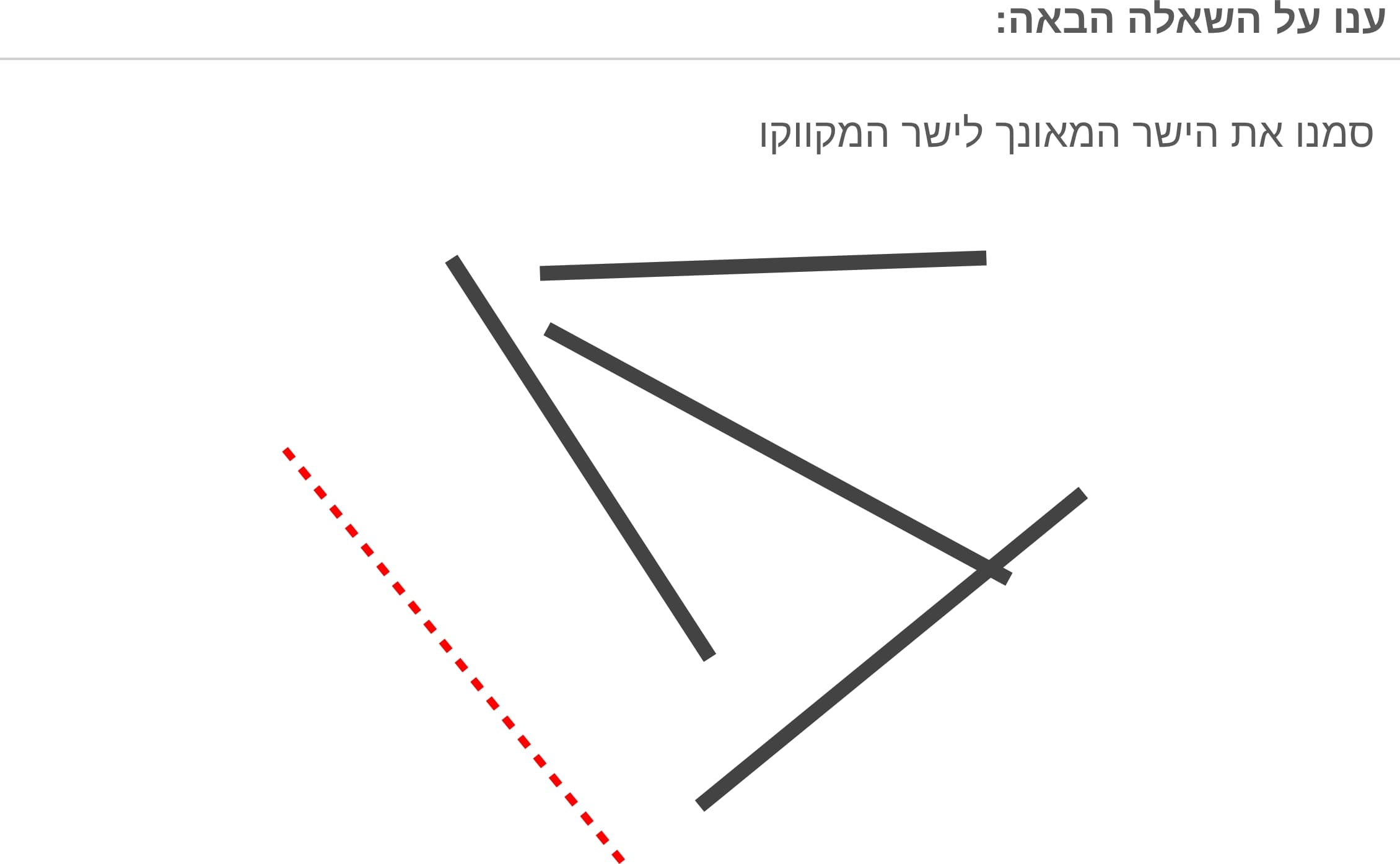 תמונה 3