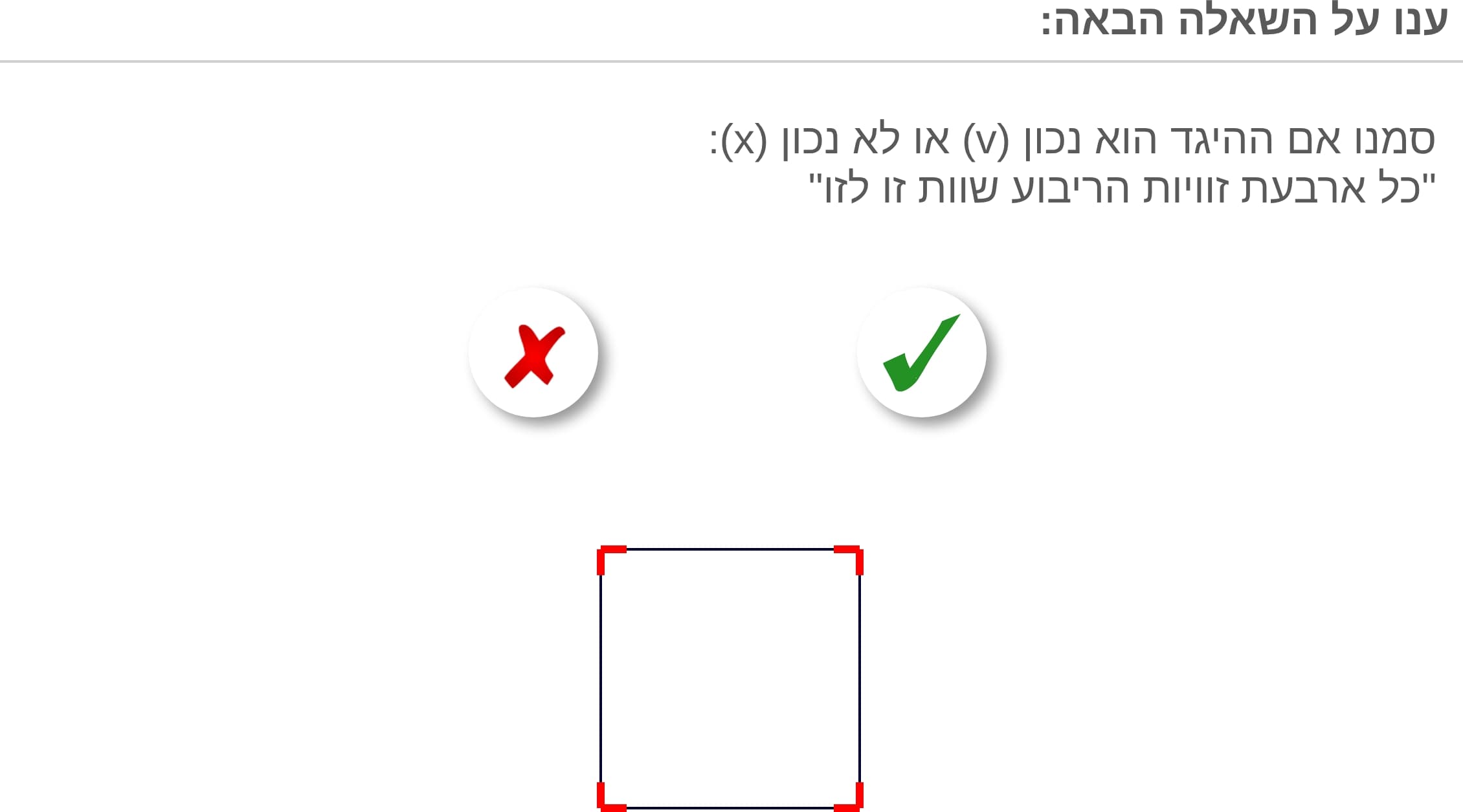 תמונה 2