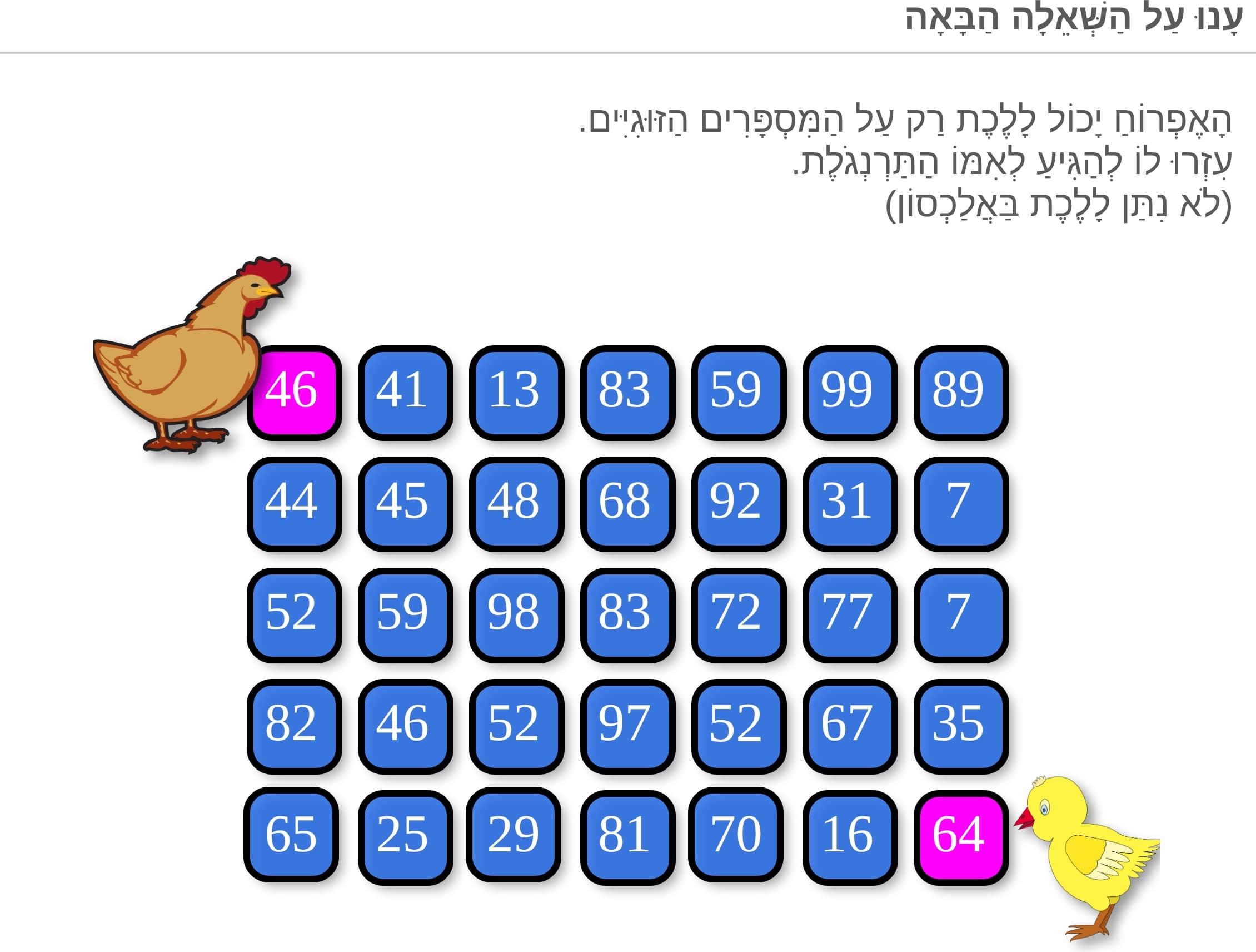 תמונה 3