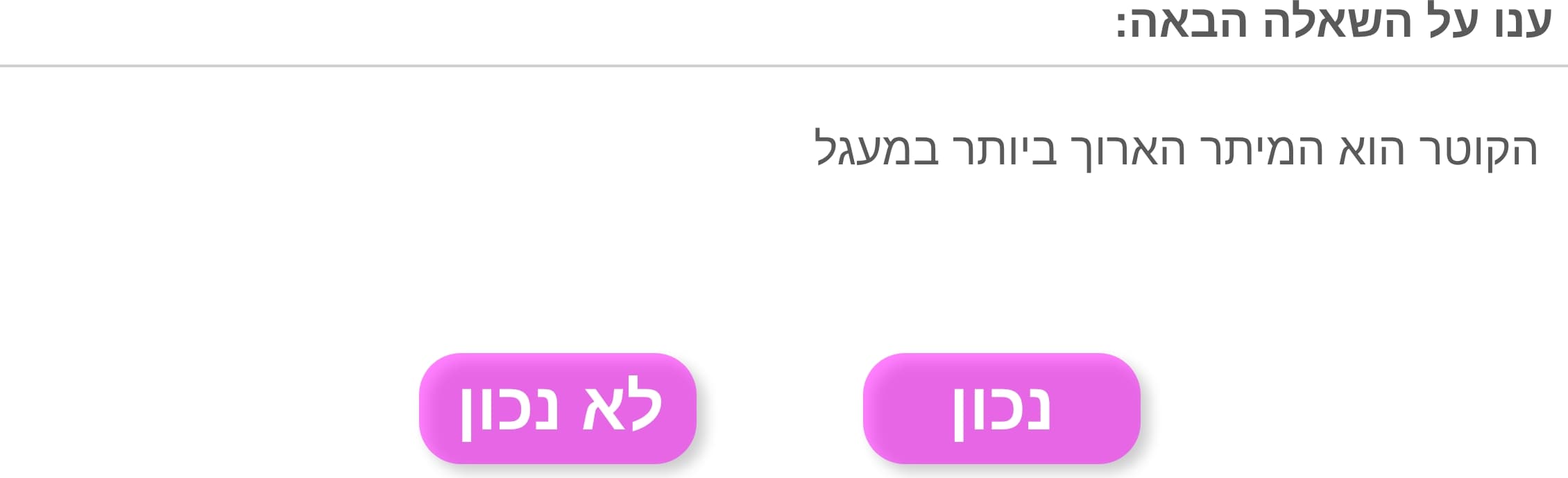 תמונה 5