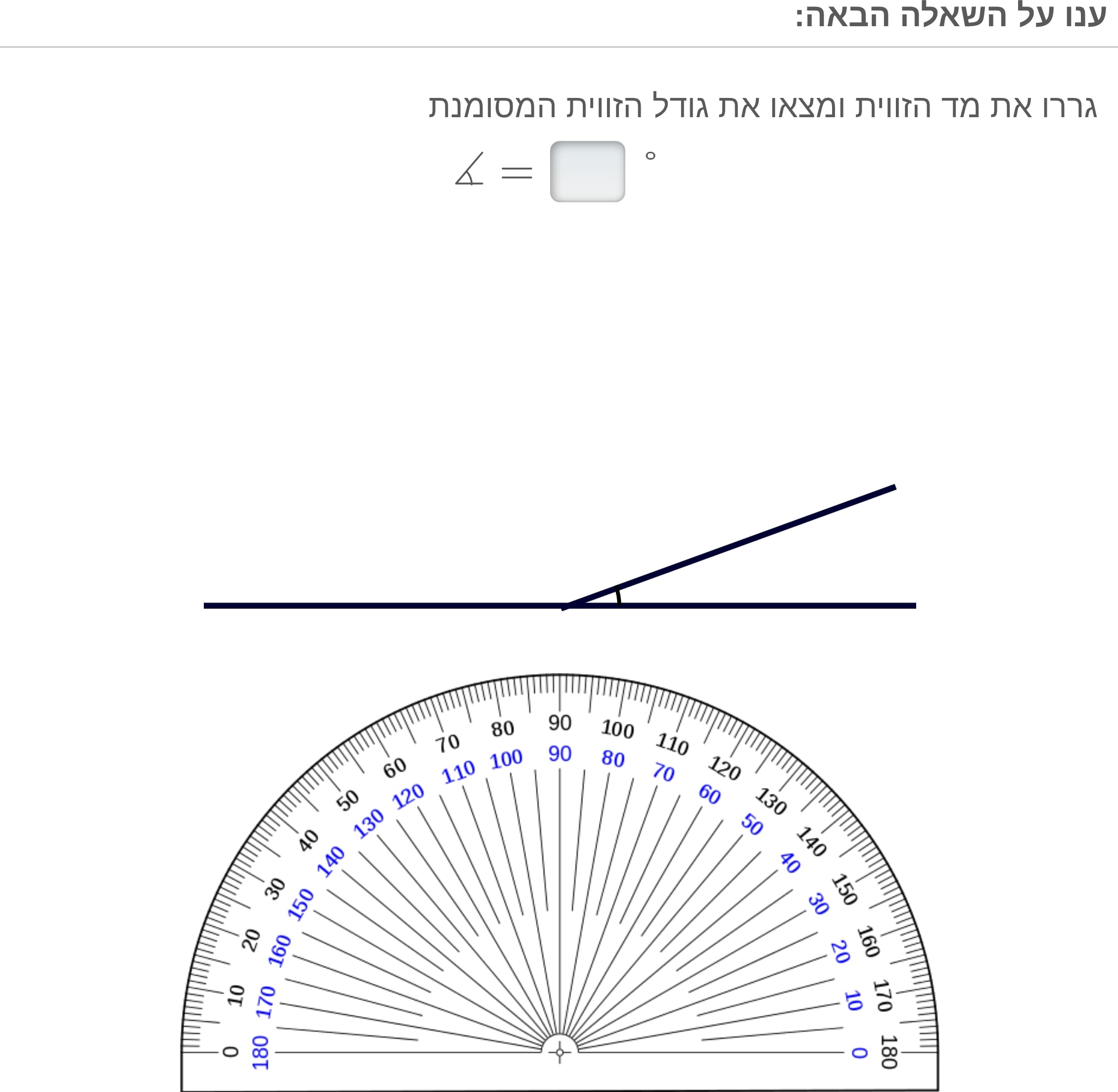 תמונה 5