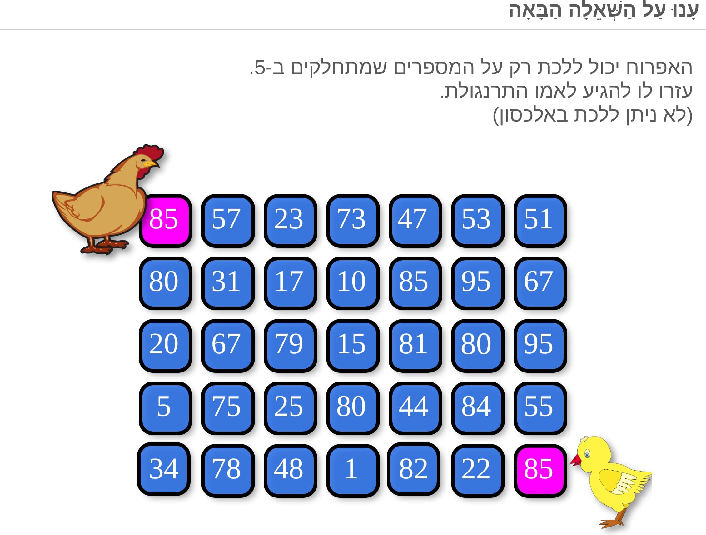 תמונה 1