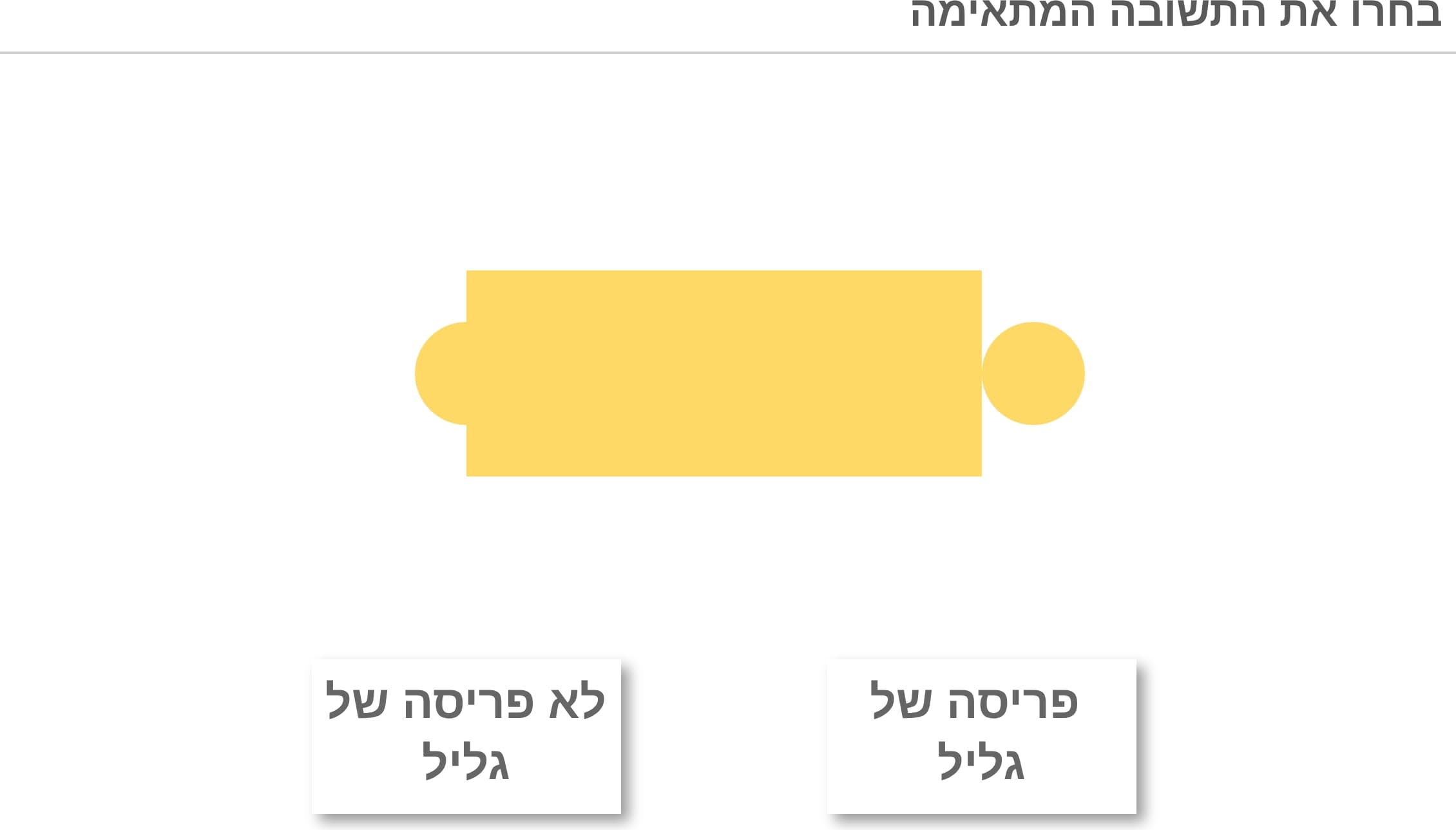 תמונה 5