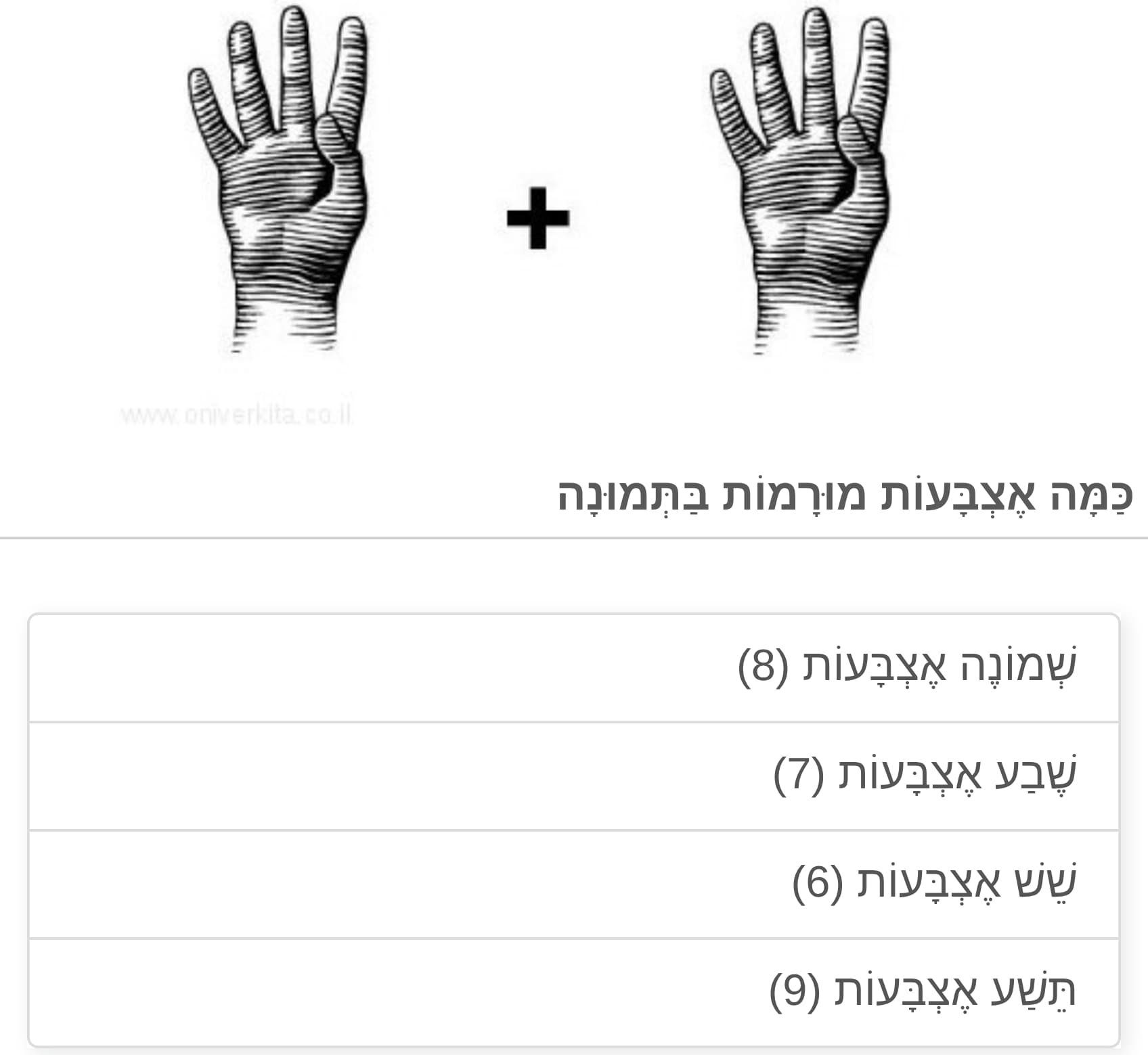 תמונה 1