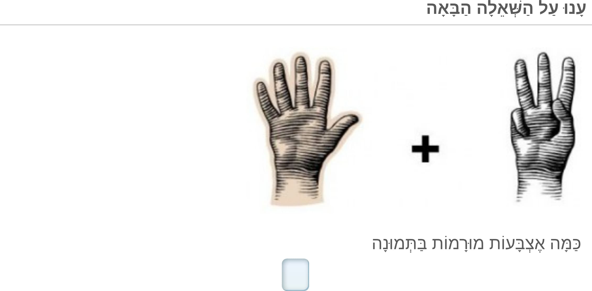 תמונה 4