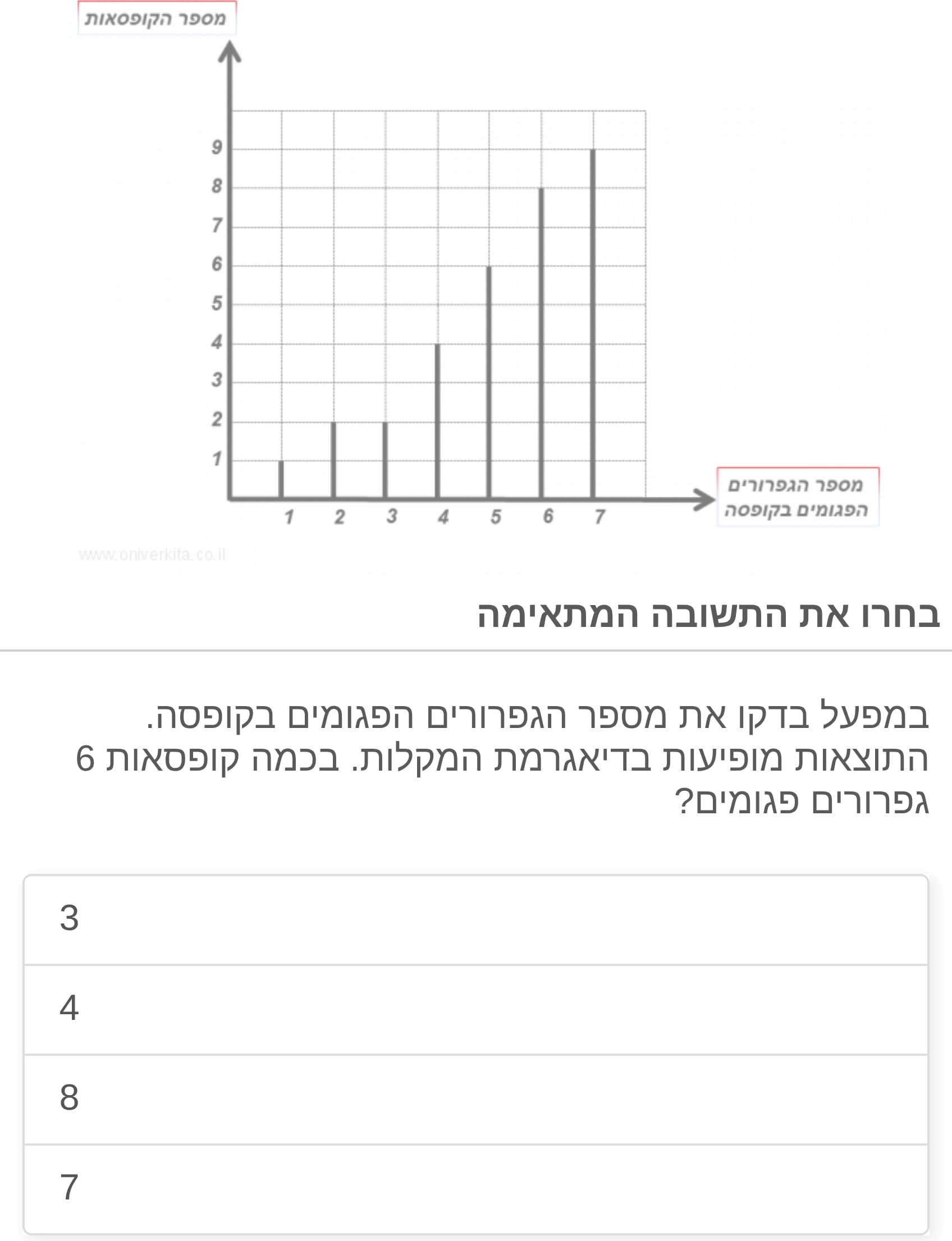 תמונה 3