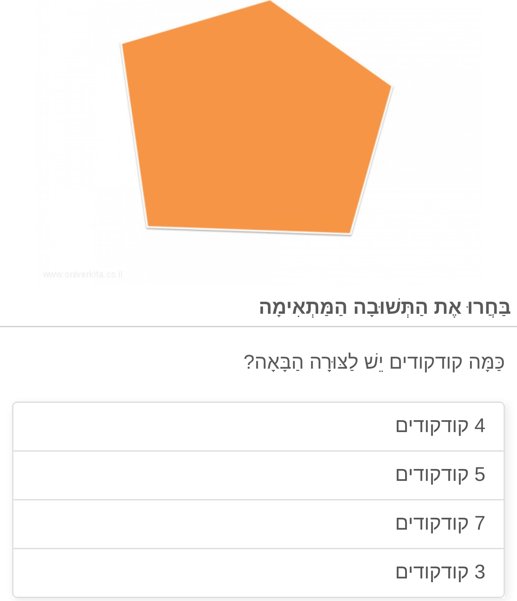 תמונה 3