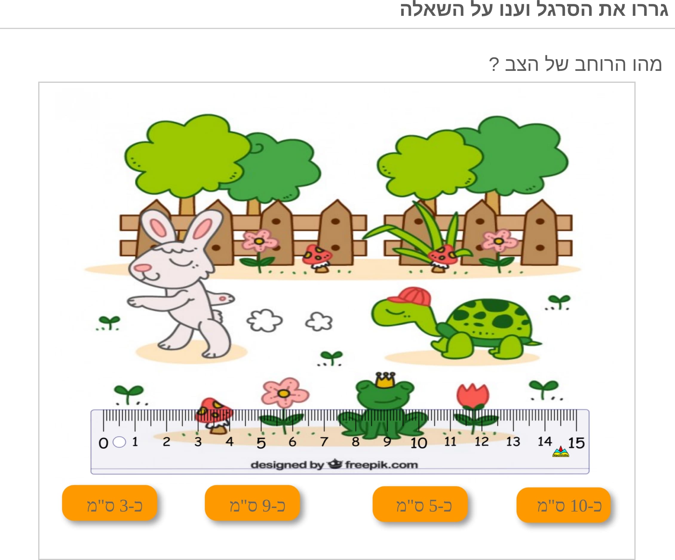 תמונה 6