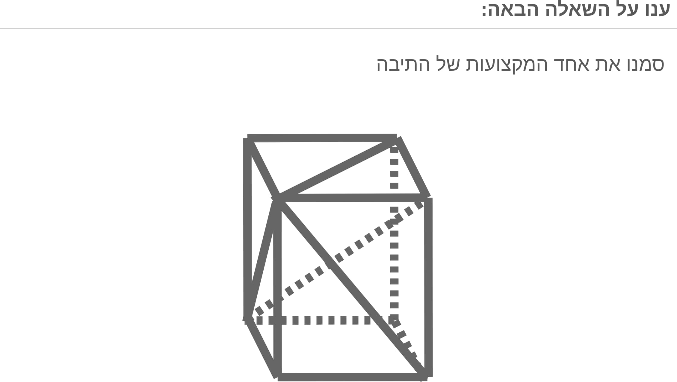 תמונה 5