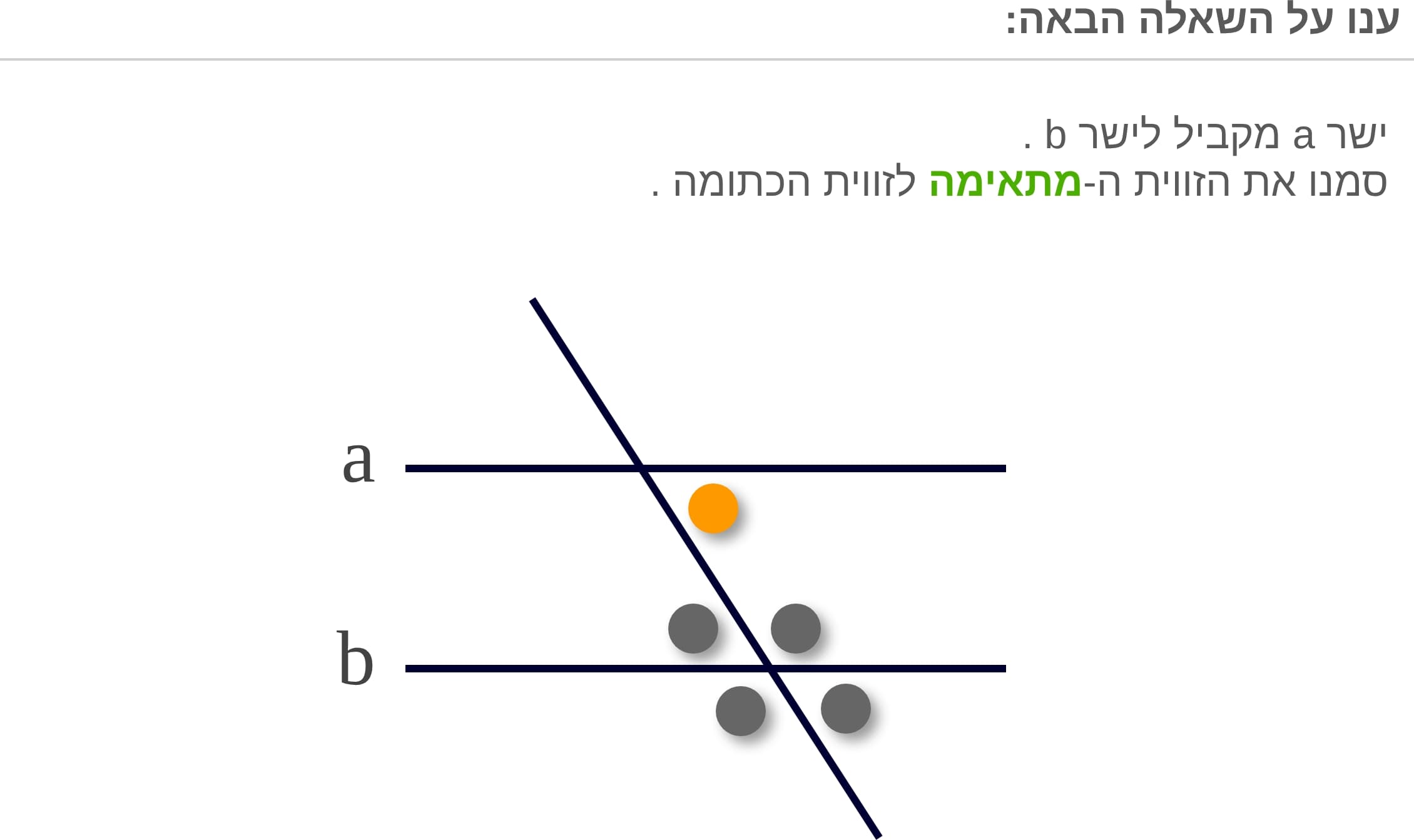 תמונה 6
