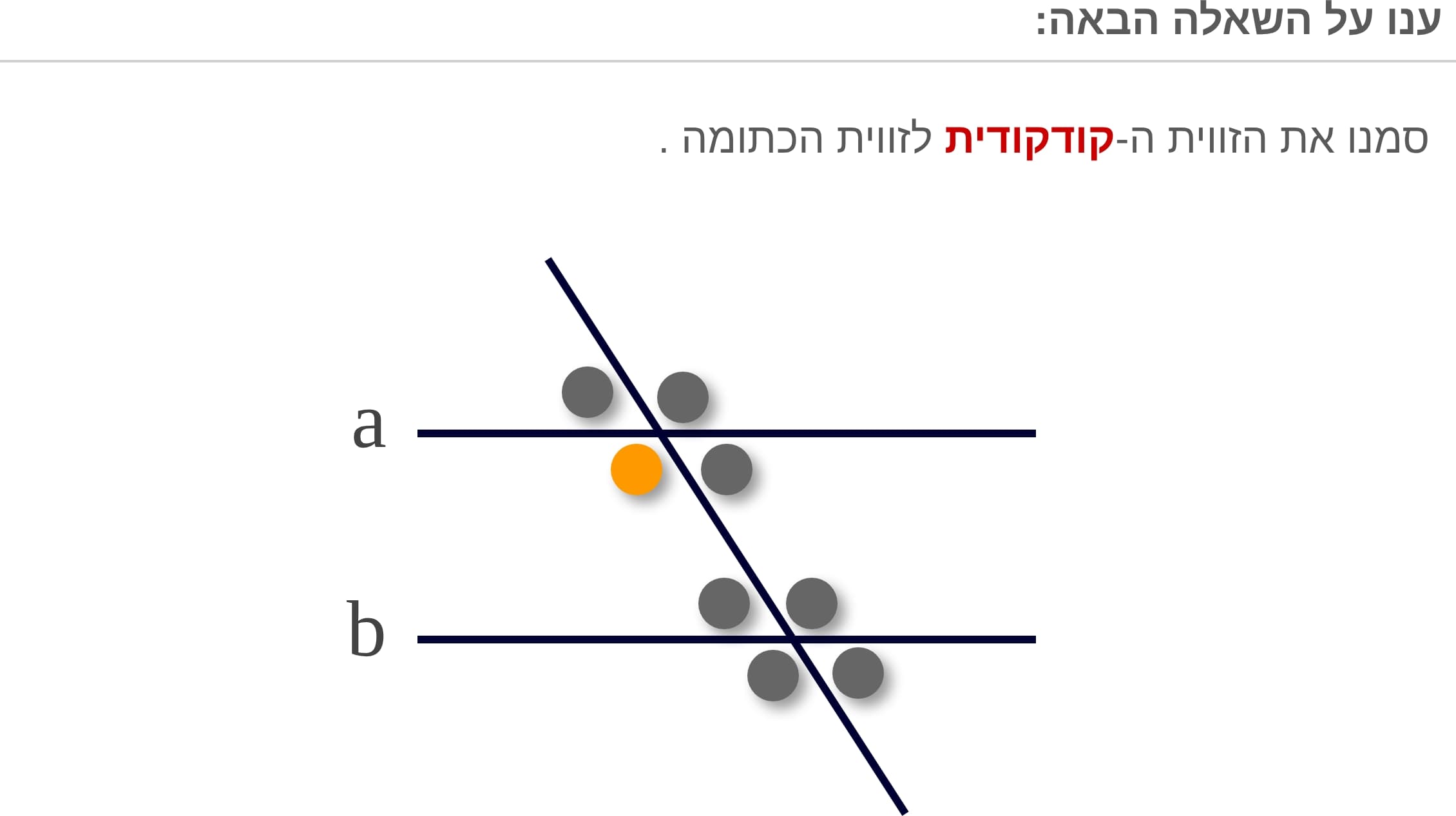 תמונה 6