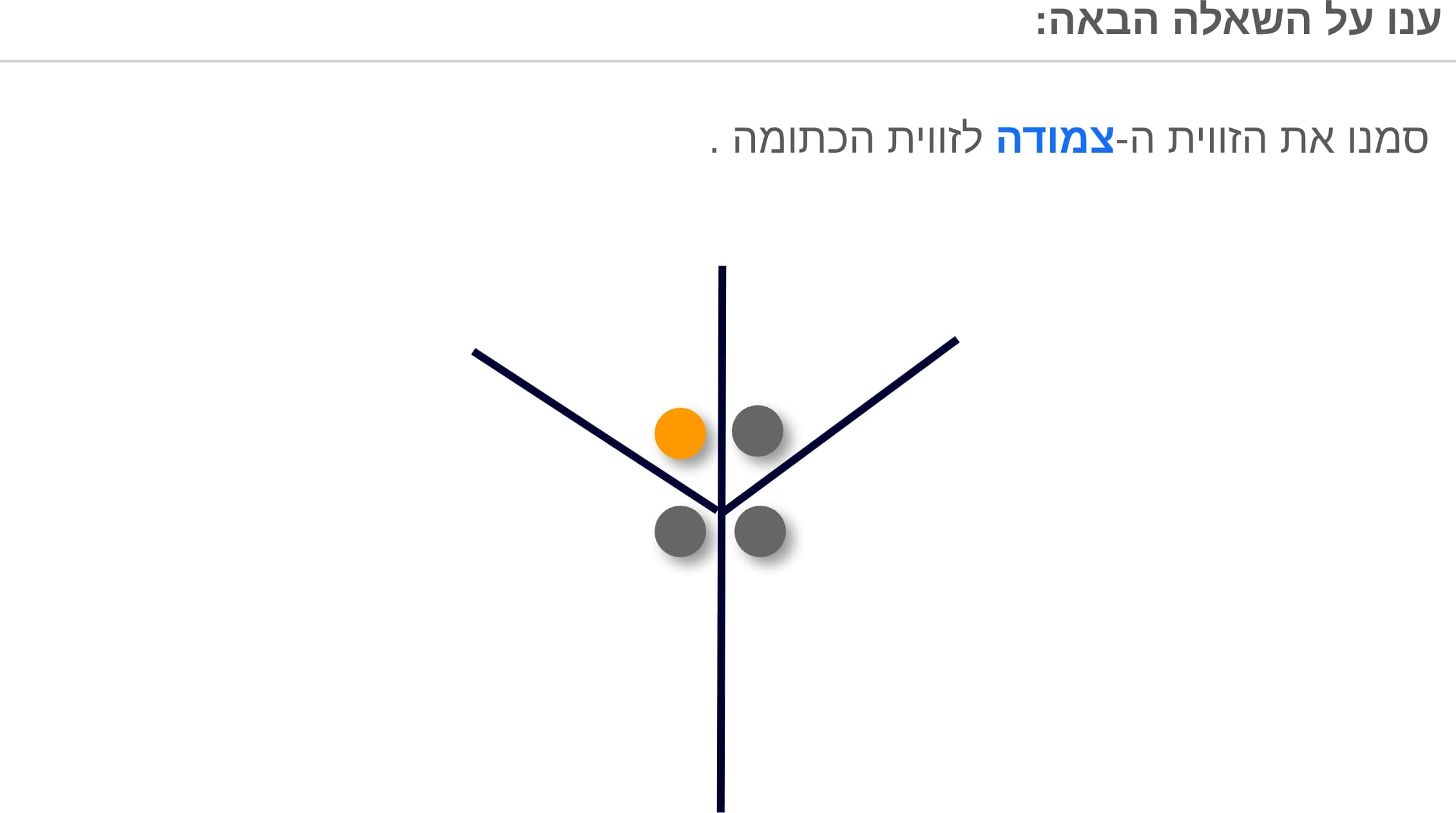 תמונה 5