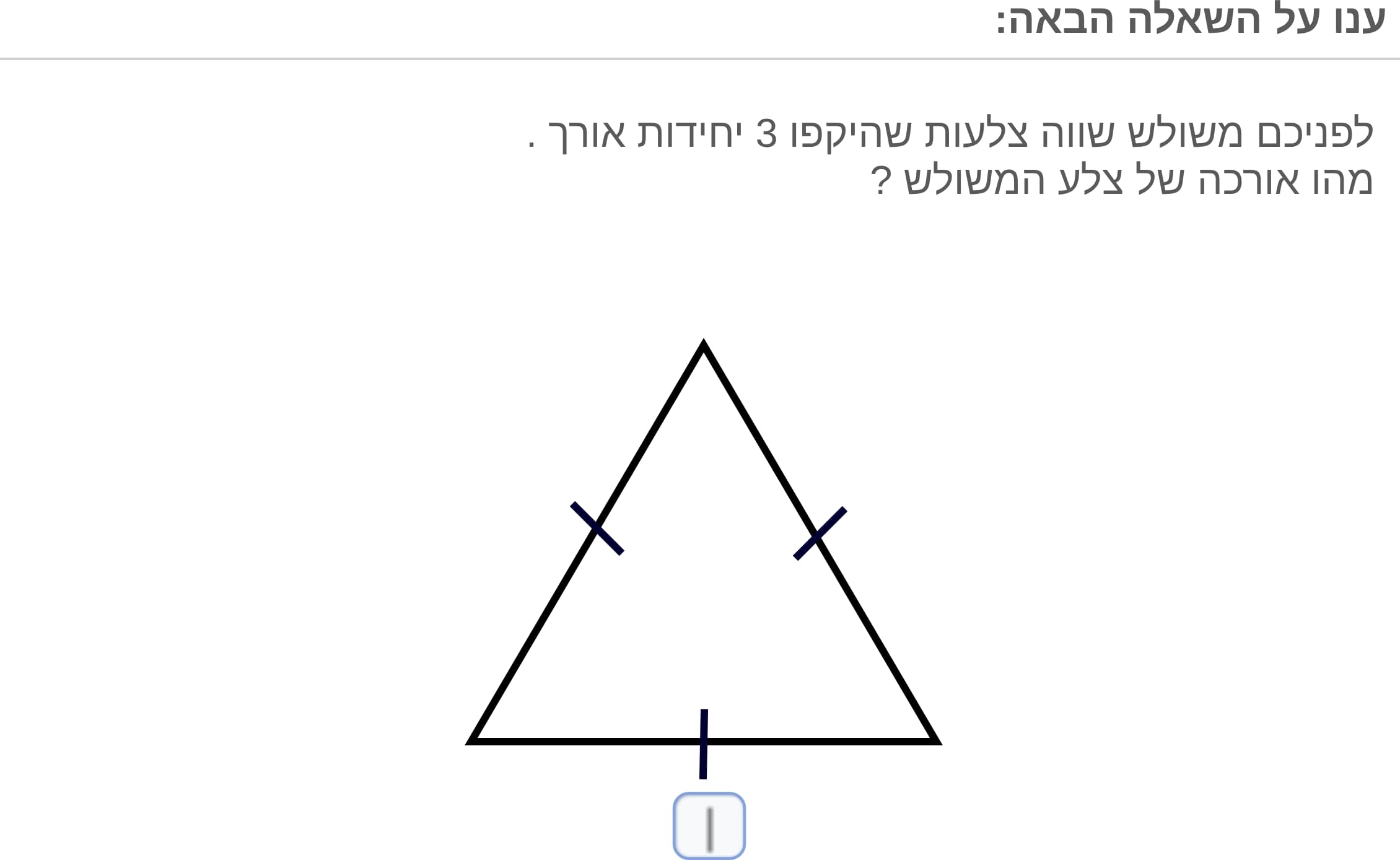 תמונה 3
