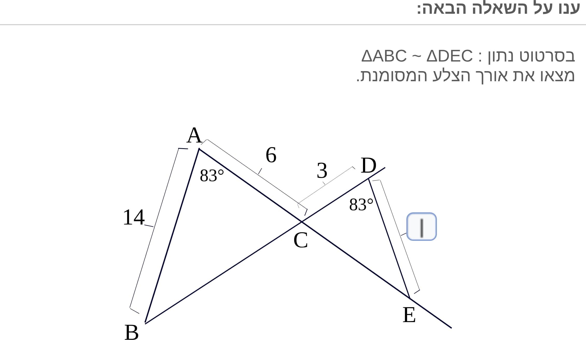 תמונה 4