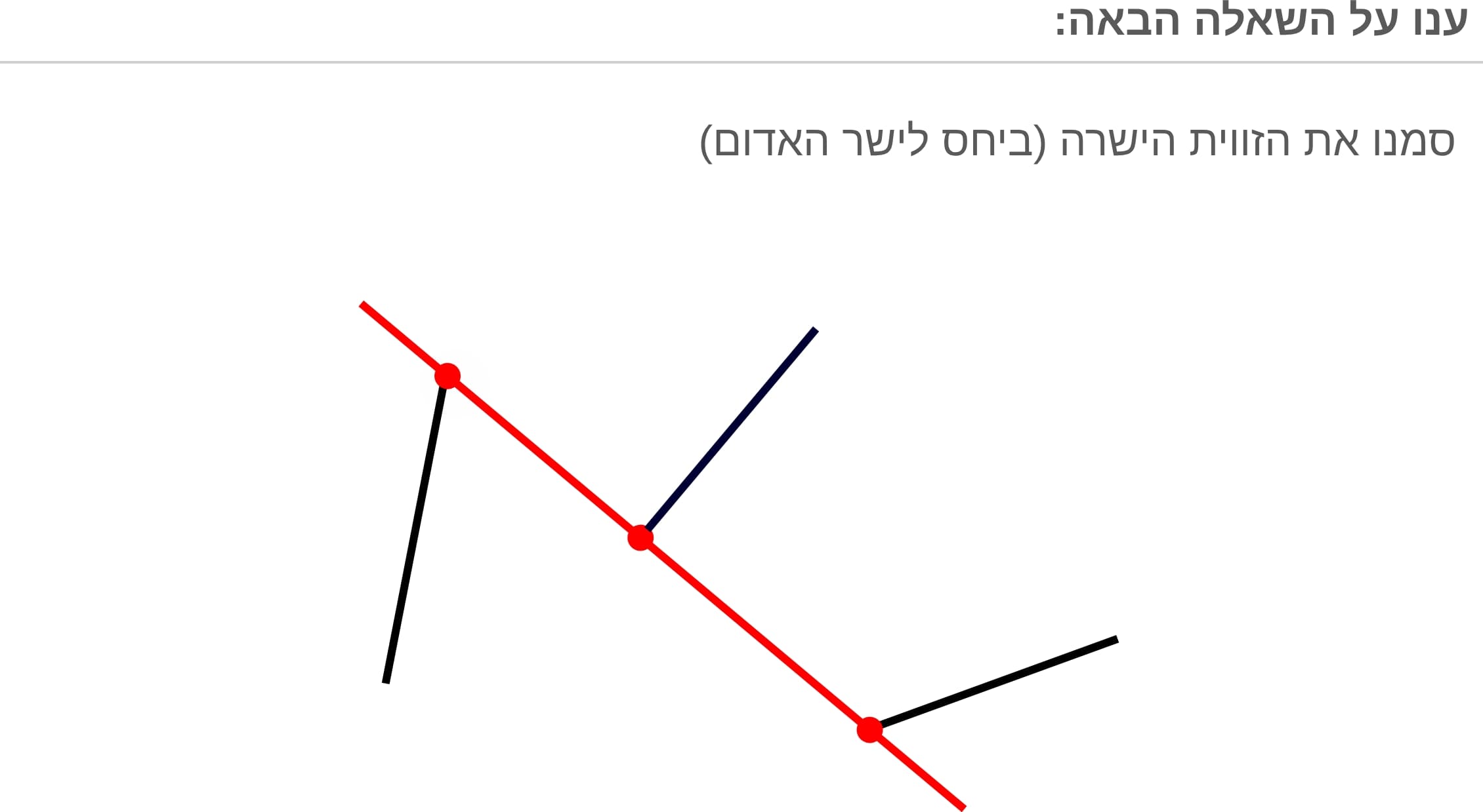 תמונה 3