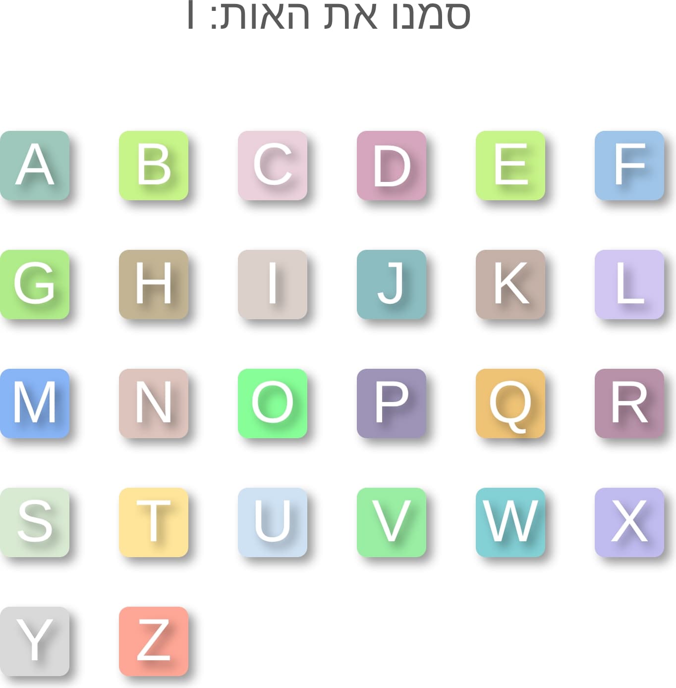 תמונה 3