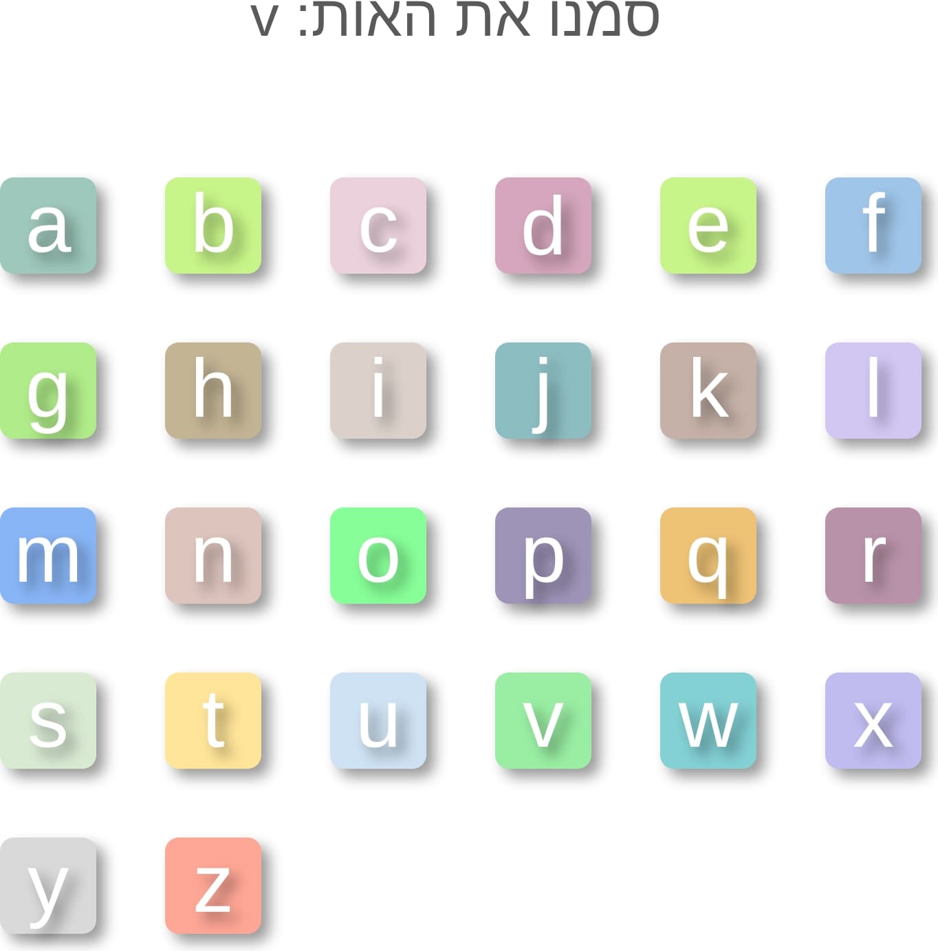 תמונה 4