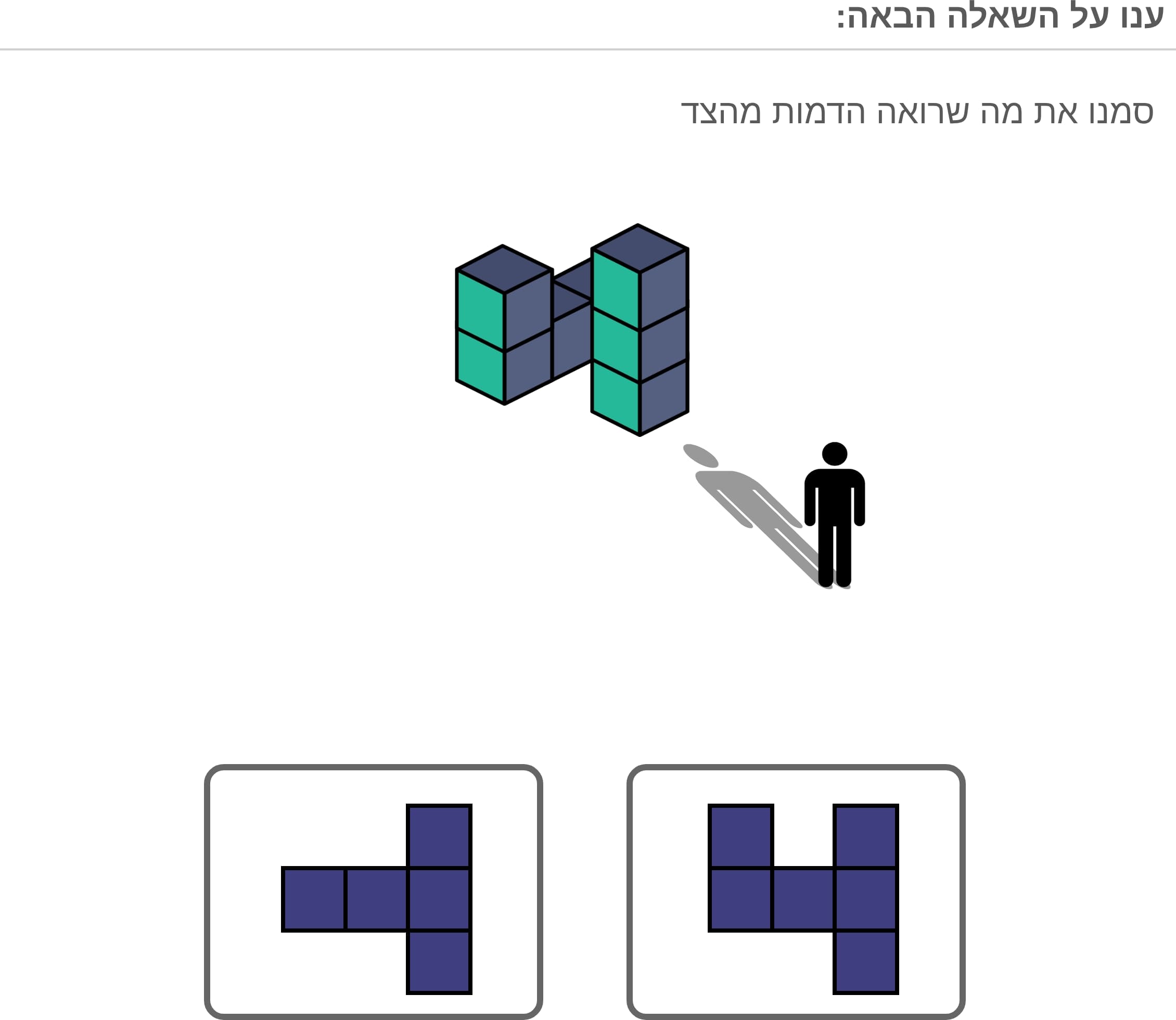 תמונה 5