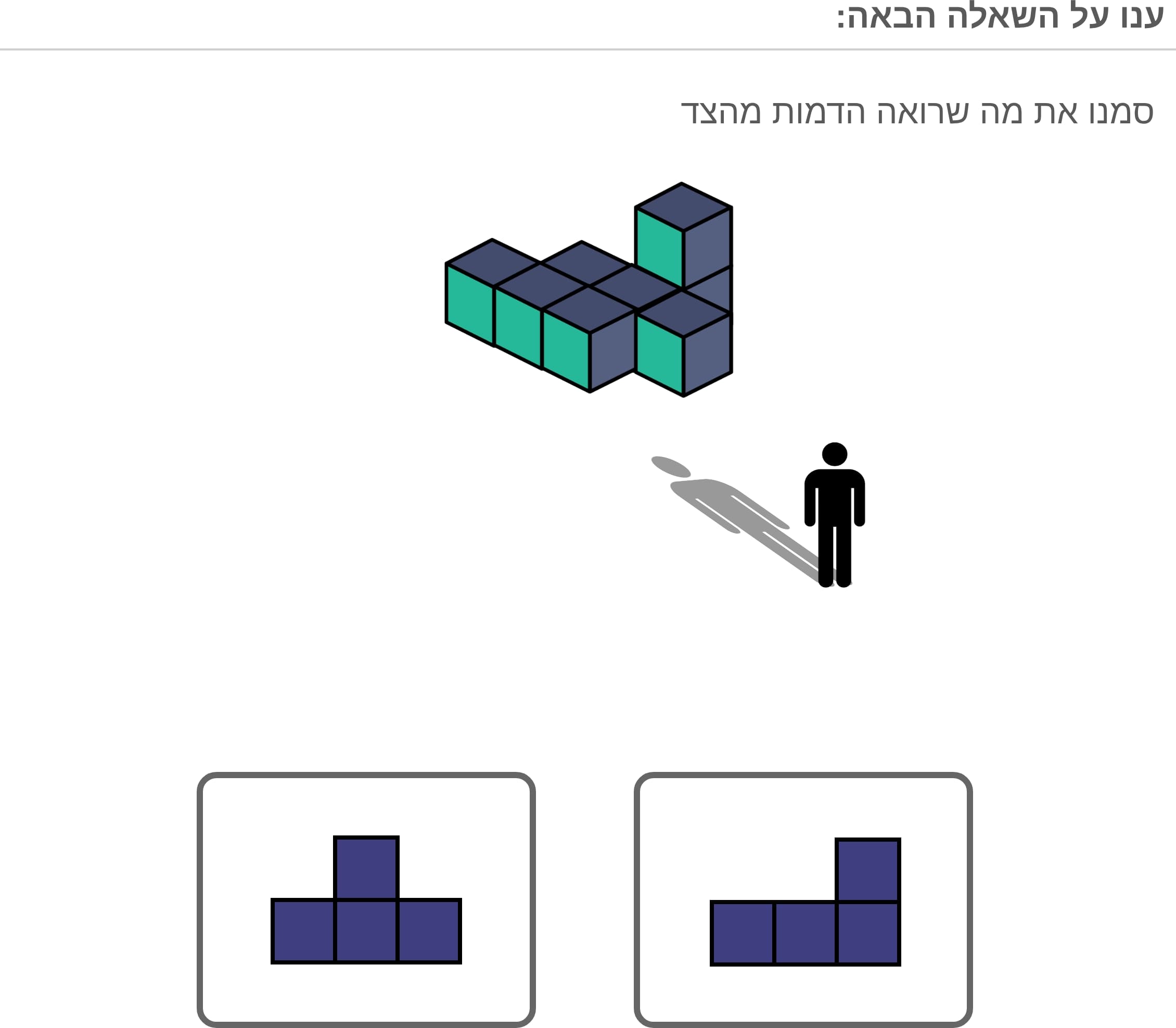 תמונה 3