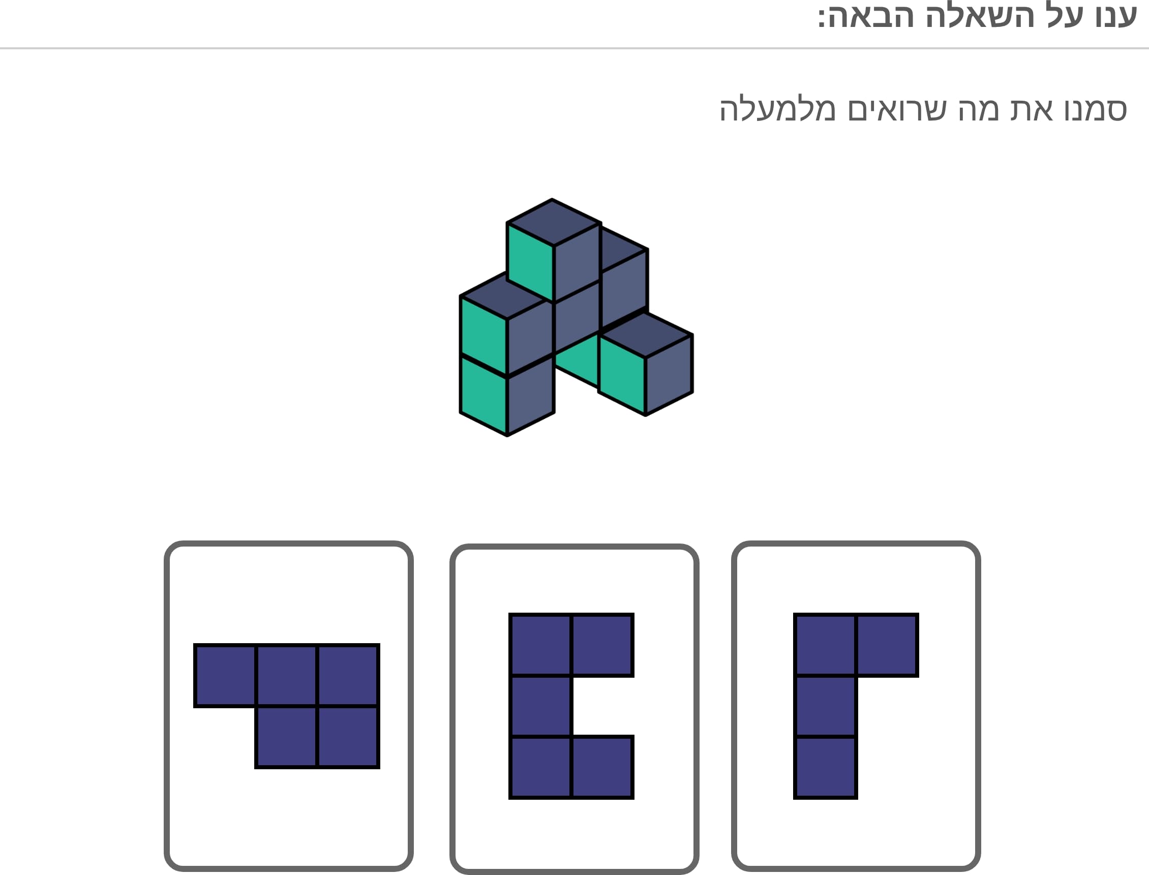 תמונה 3
