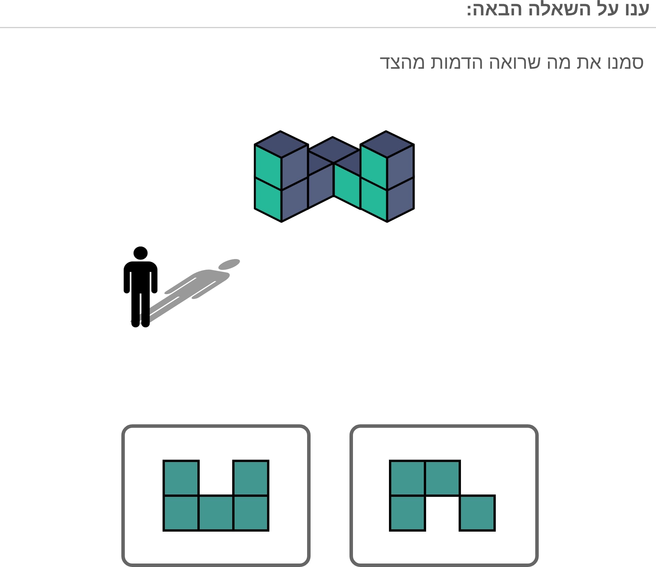תמונה 5
