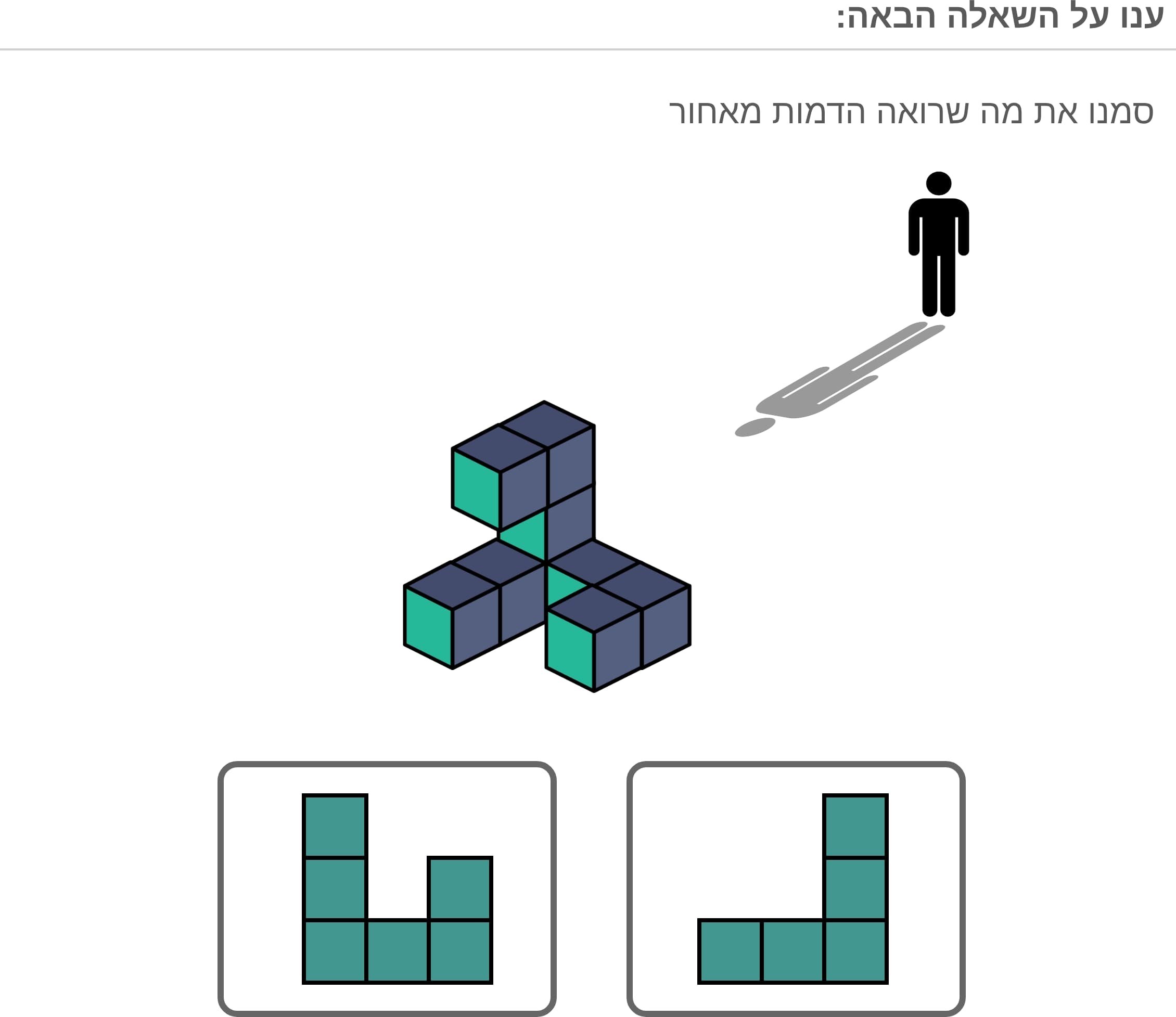 תמונה 4