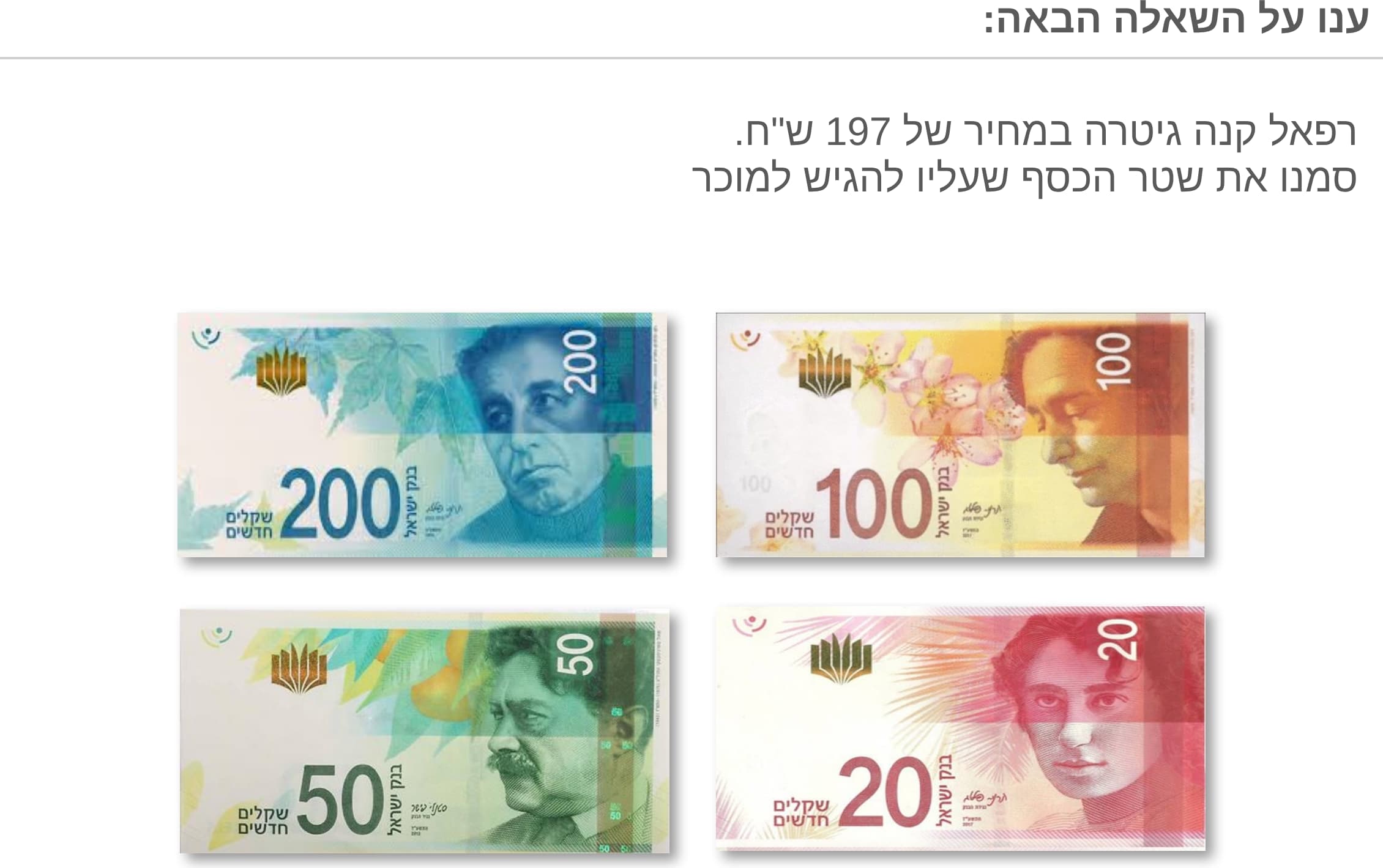 תמונה 3