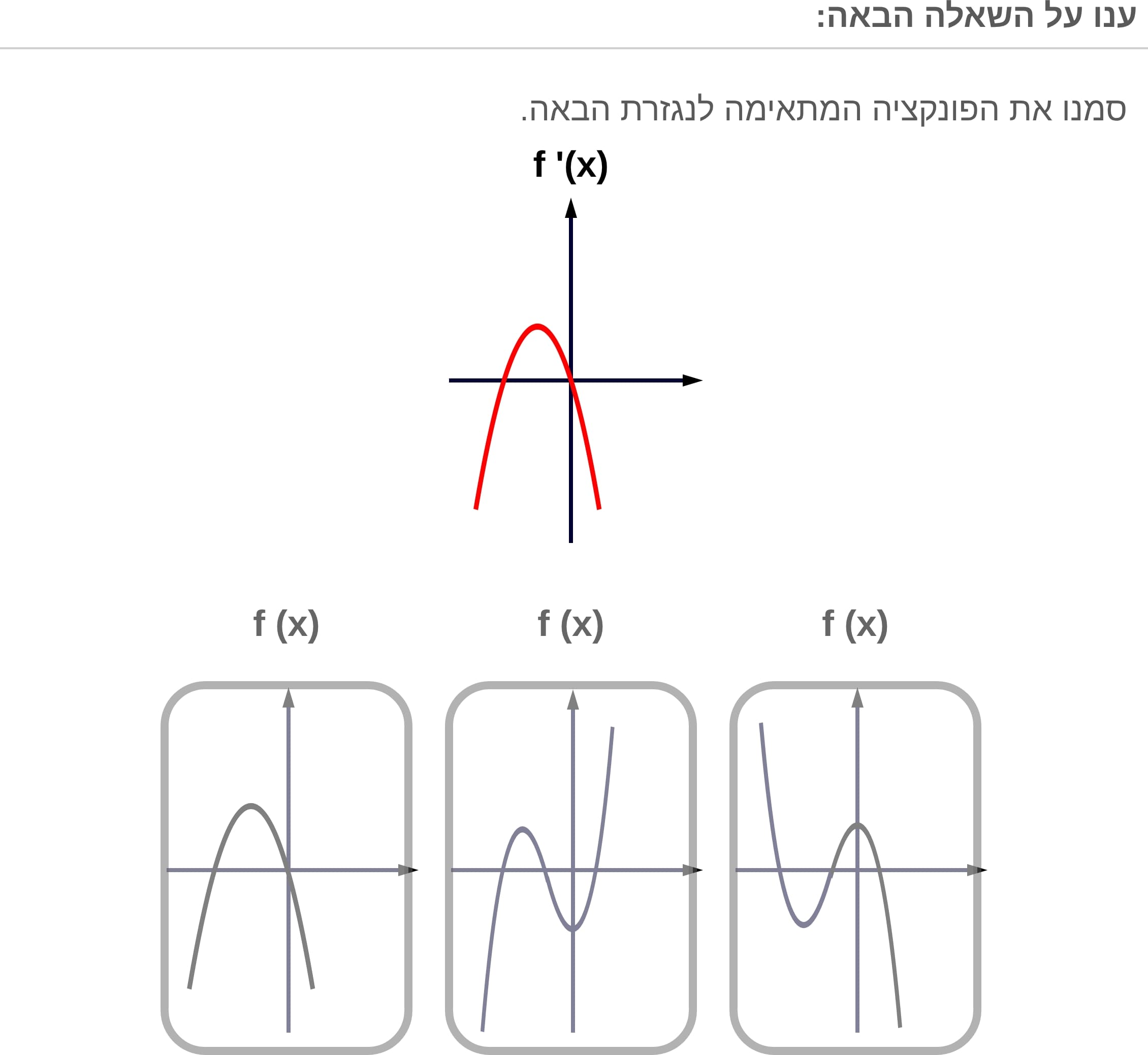 תמונה 5