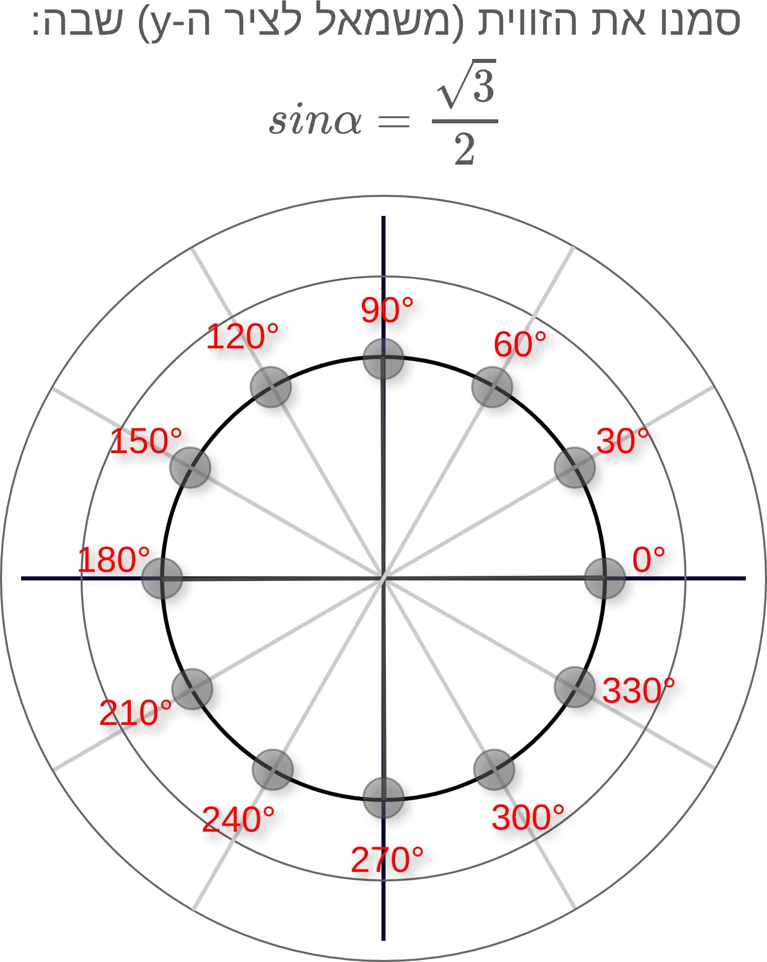 תמונה 3