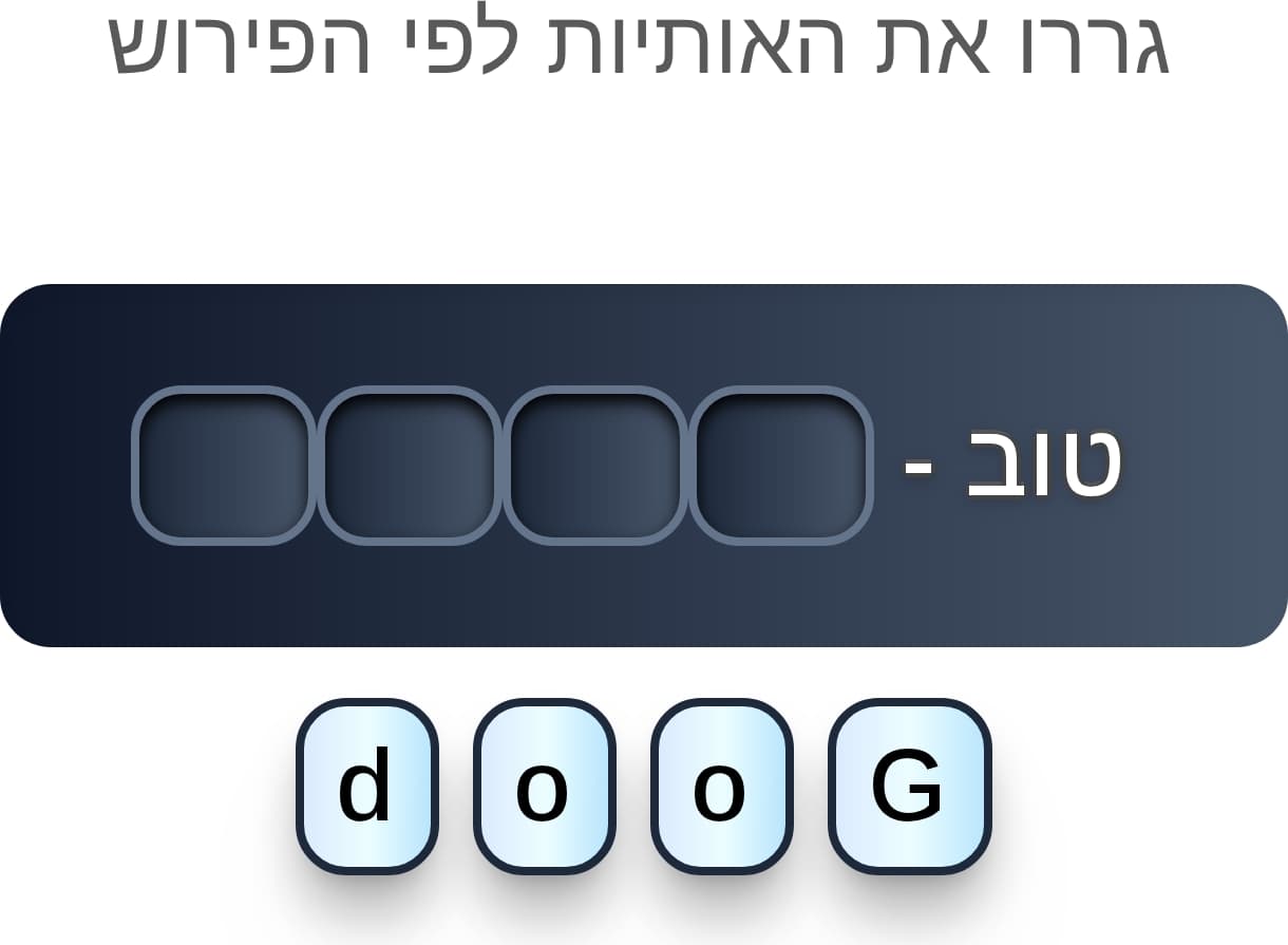 תמונה 3