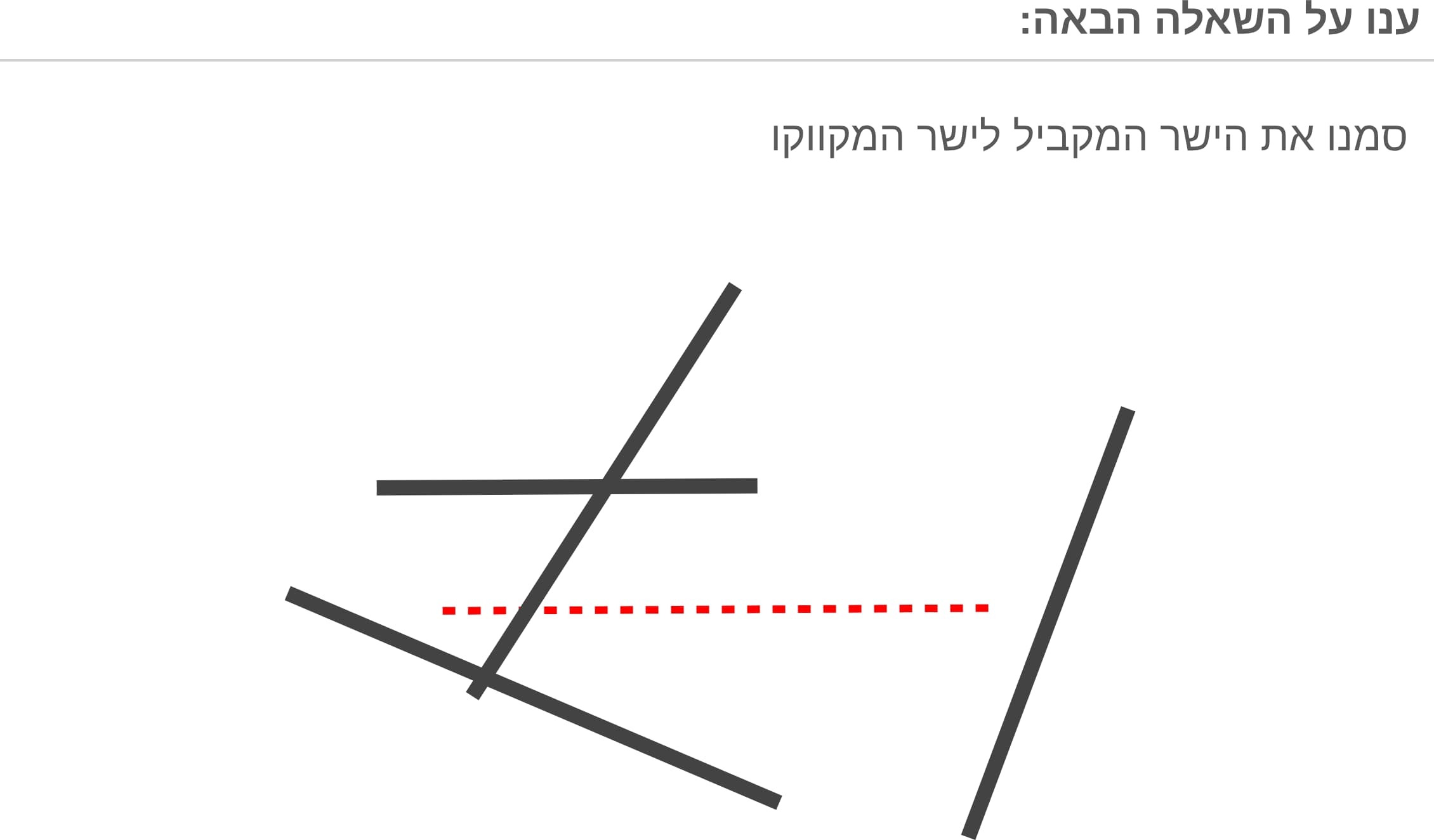 תמונה 3