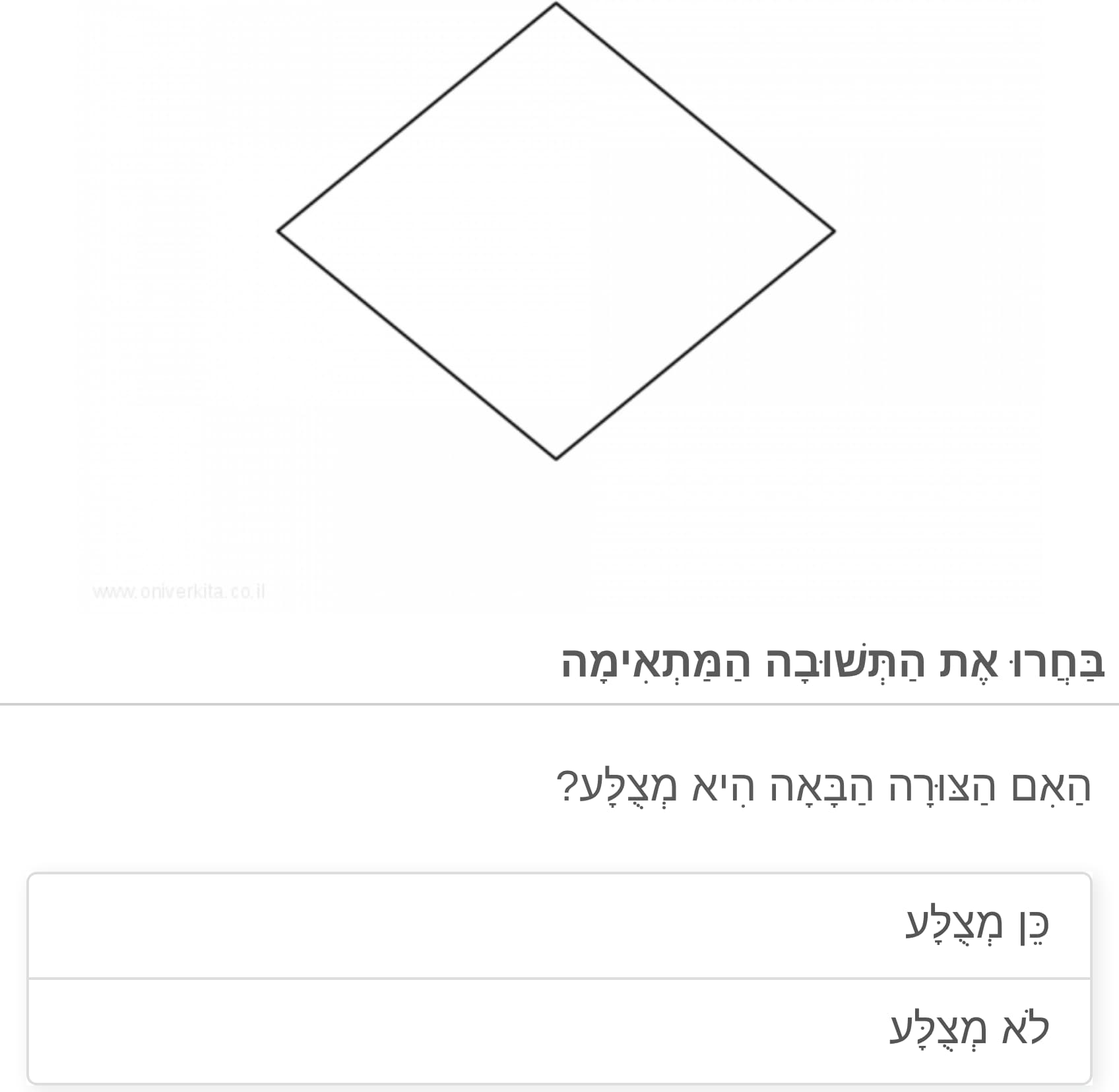 תמונה 5