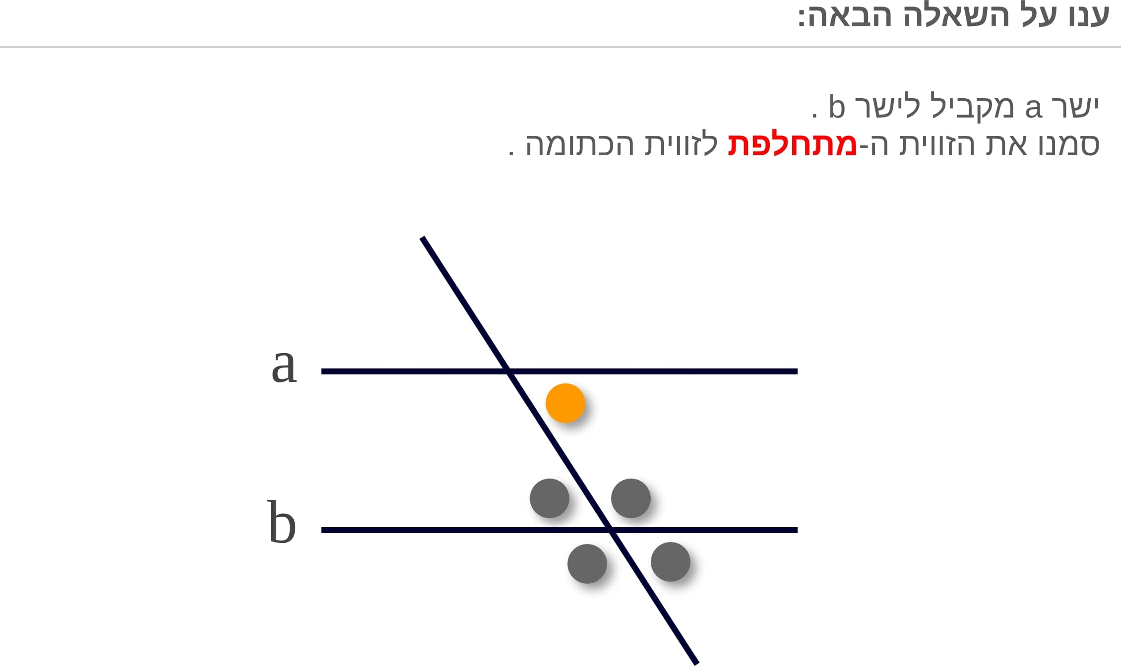 תמונה 5