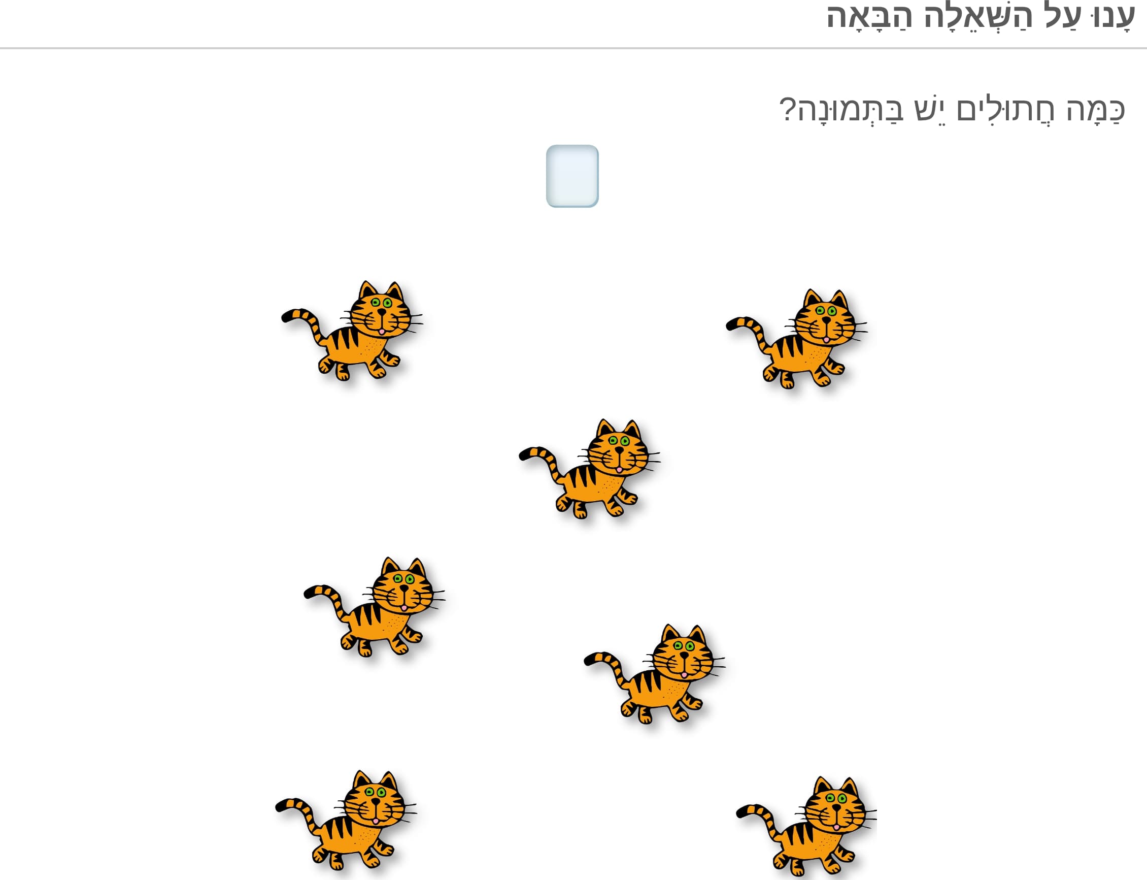 תמונה 1