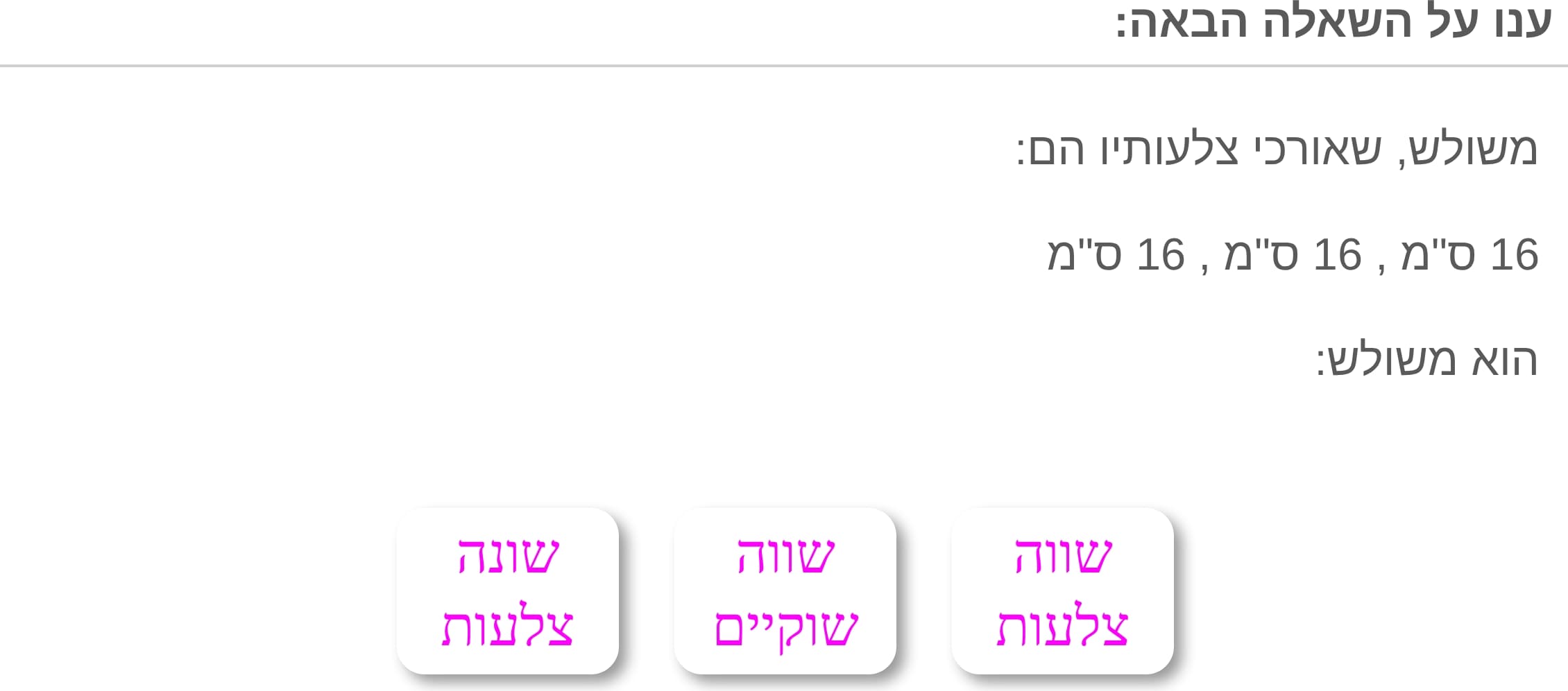 תמונה 5