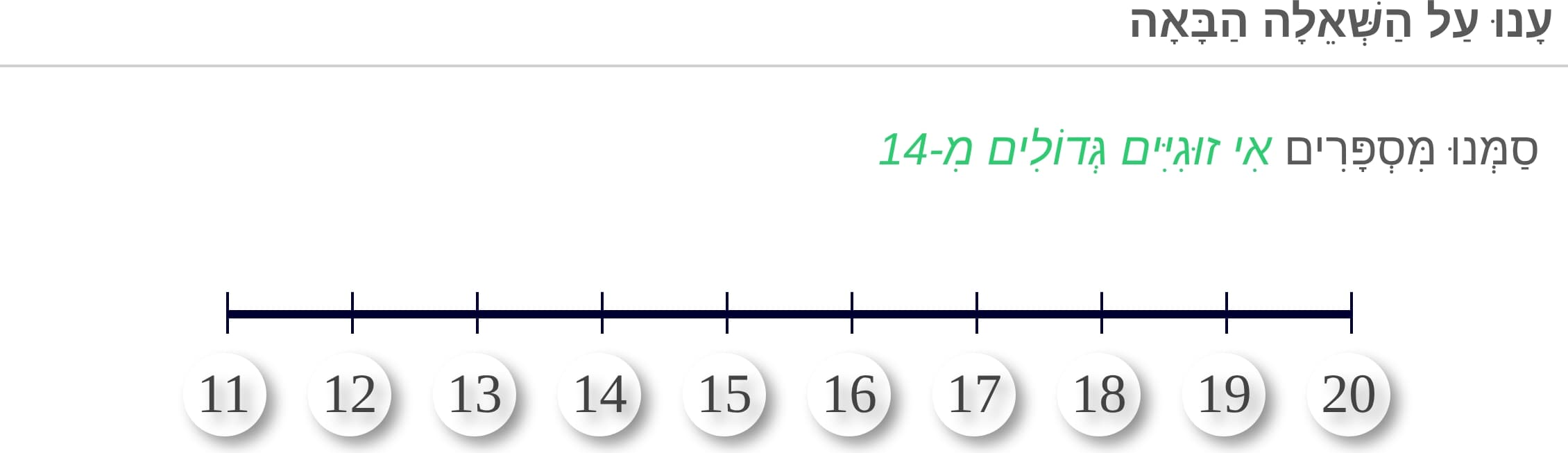 תמונה 5