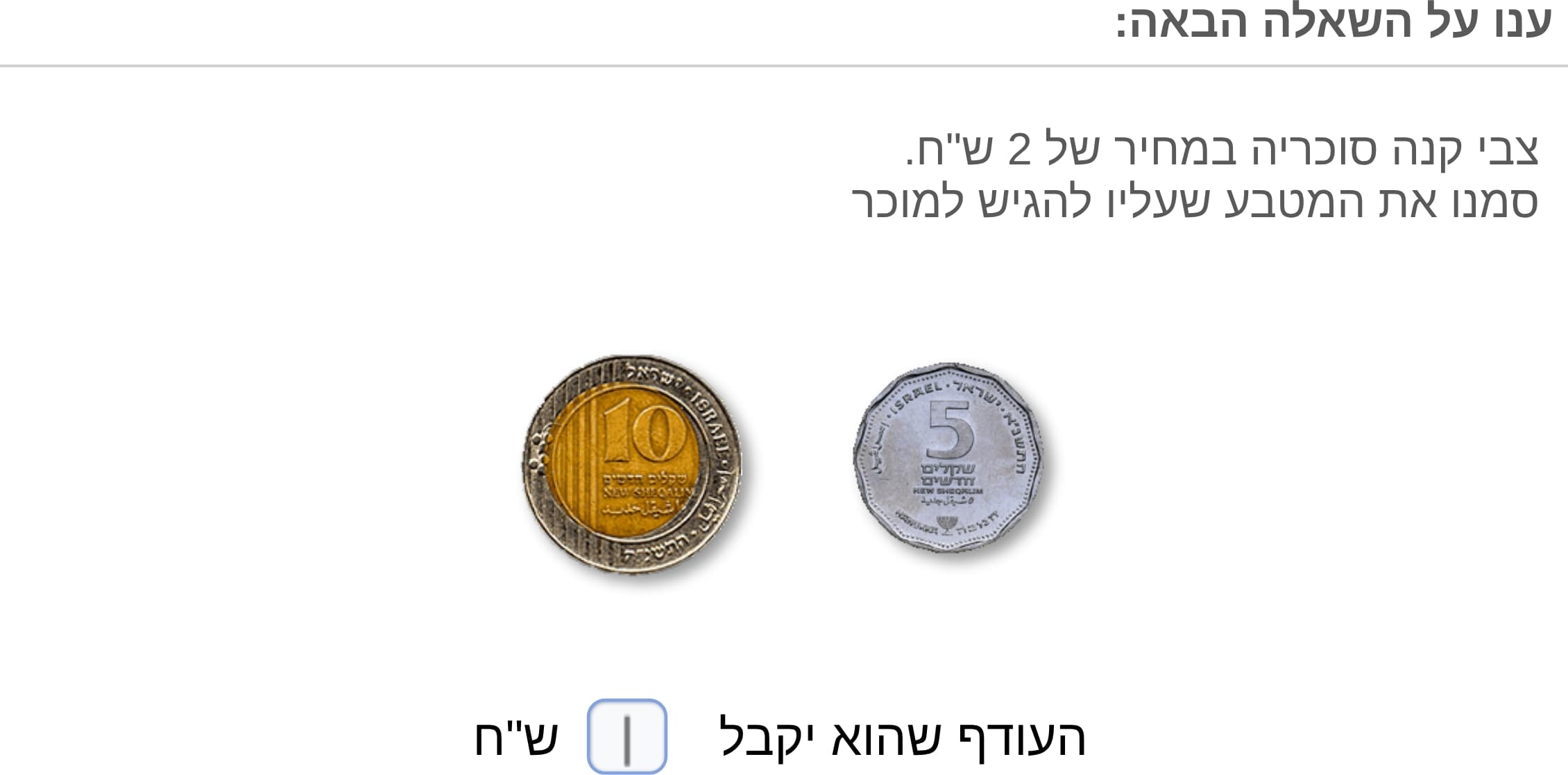 תמונה 5