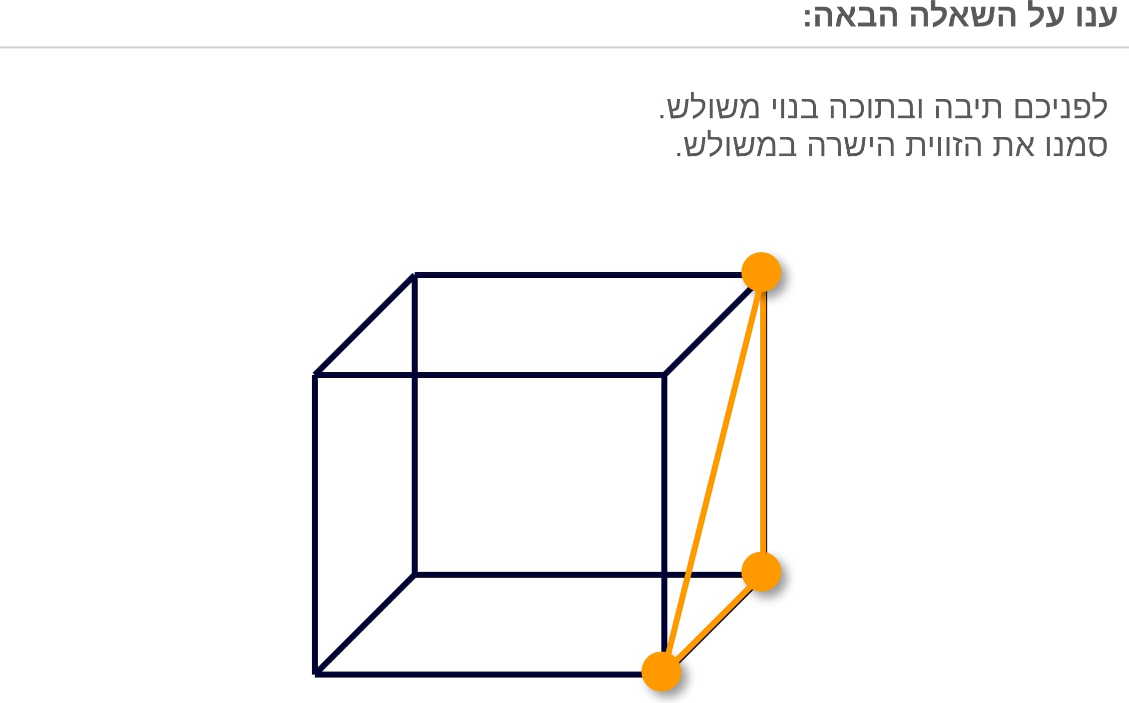 תמונה 5