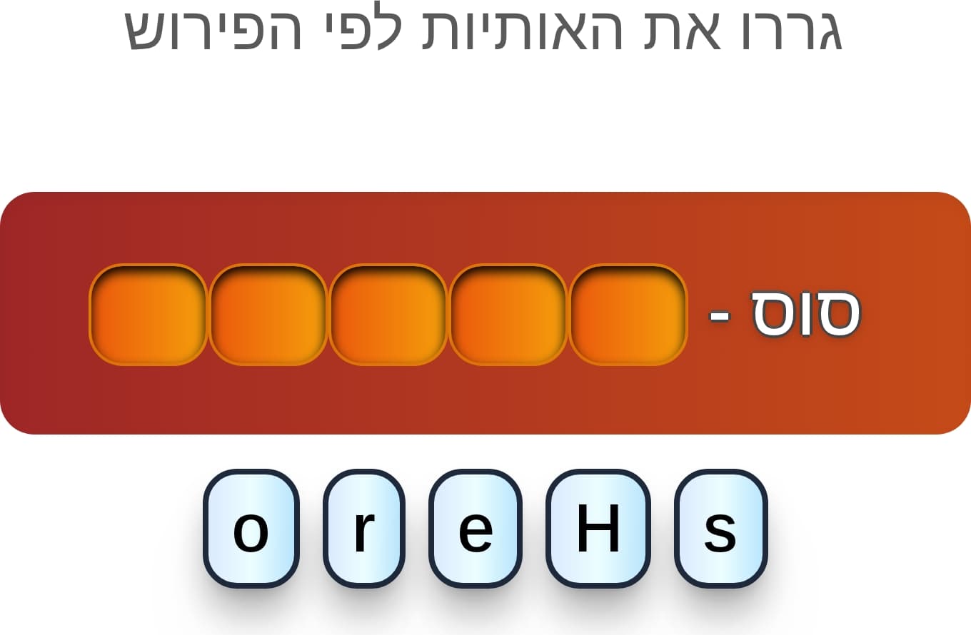 תמונה 5