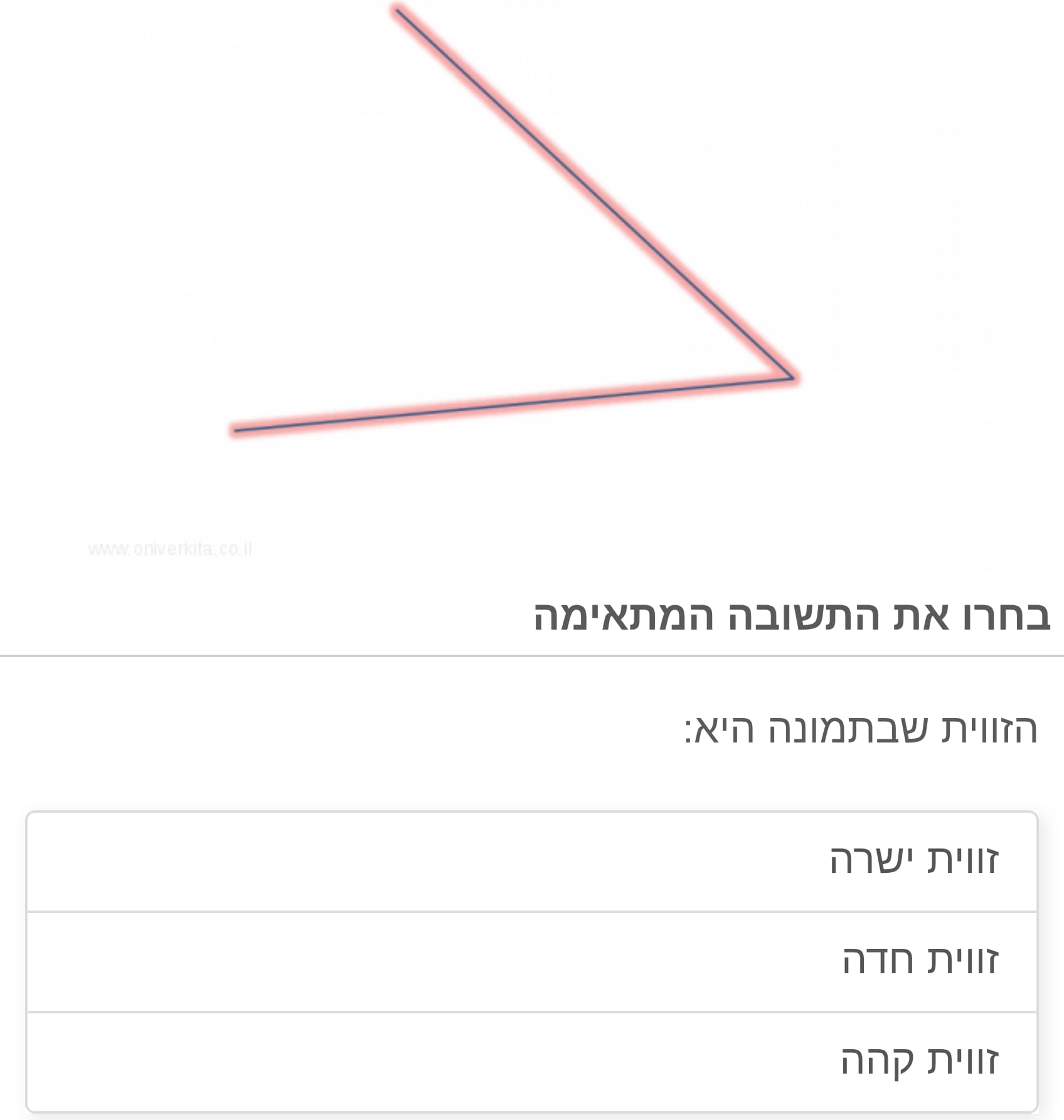 תמונה 6