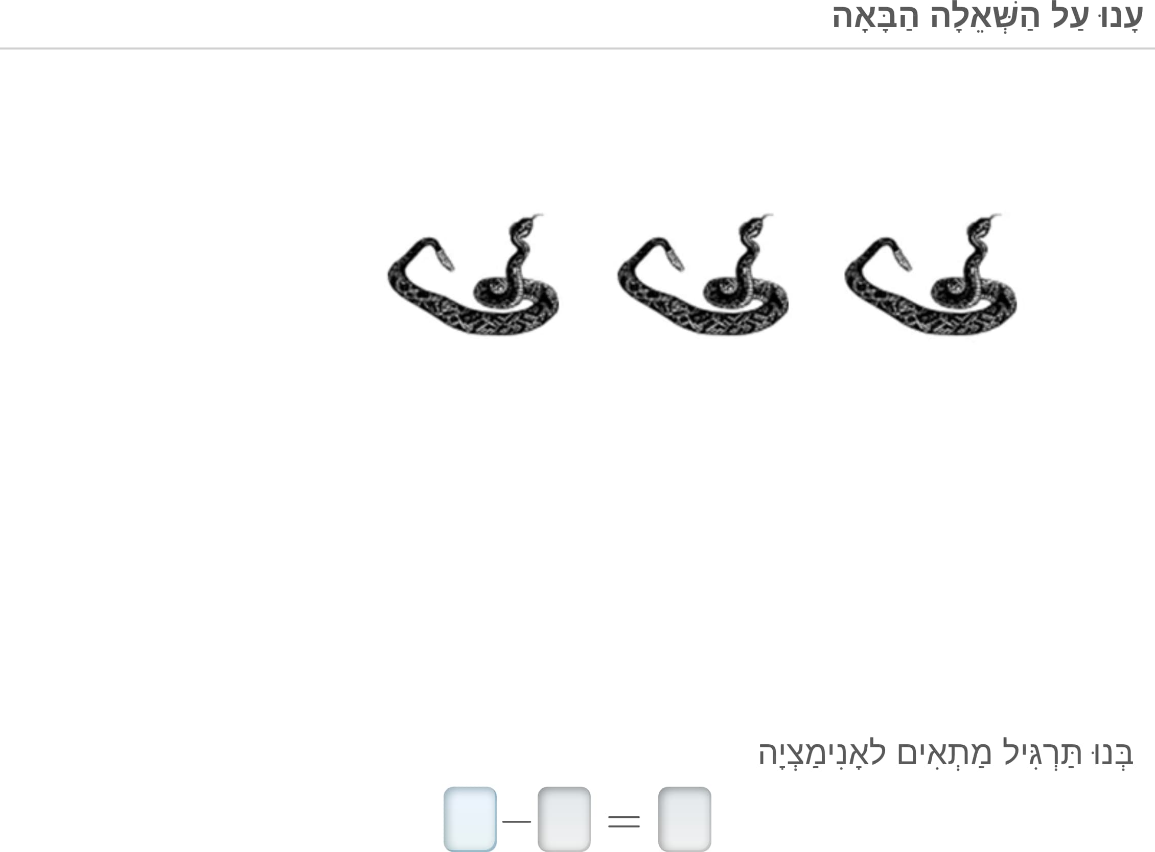 תמונה 5