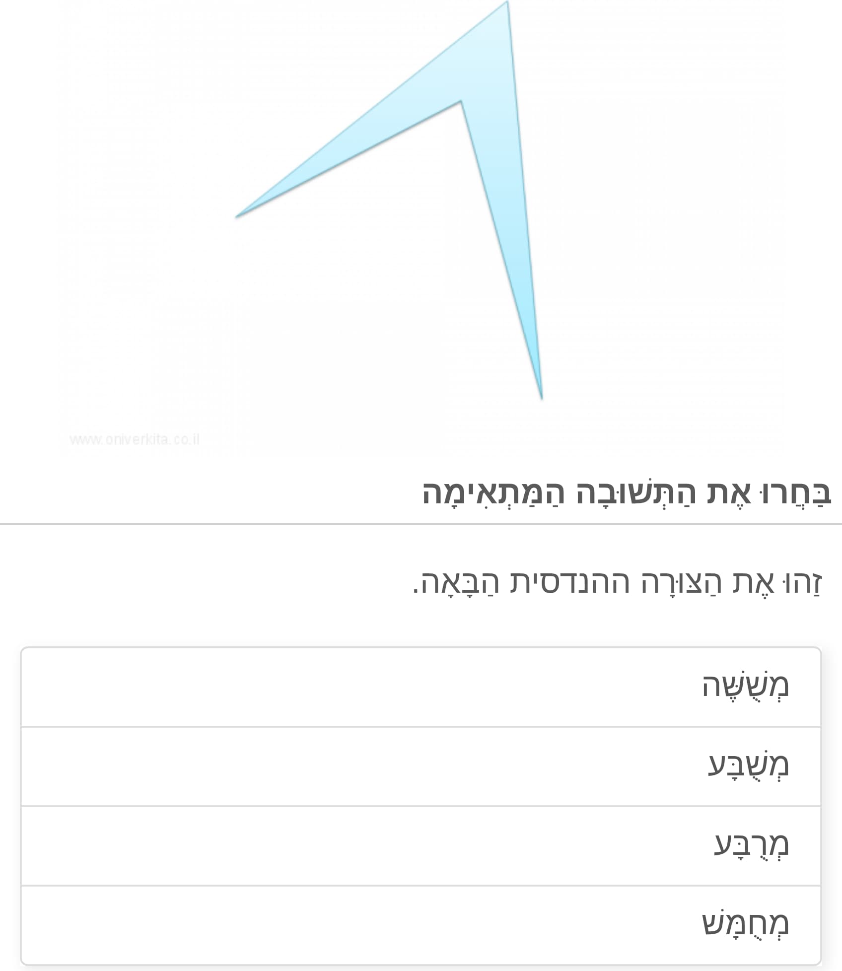תמונה 4