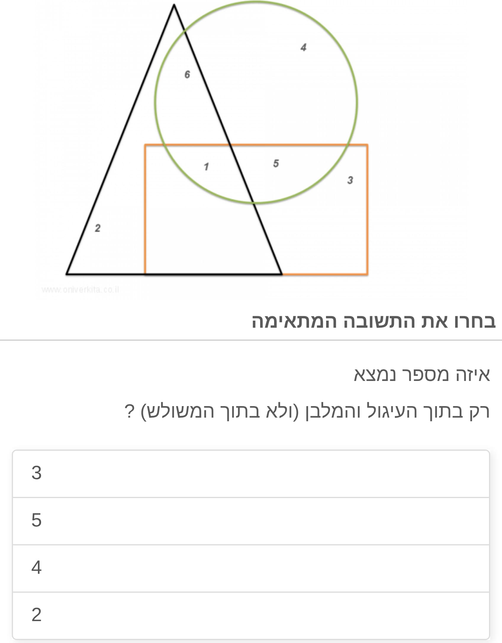 תמונה 3