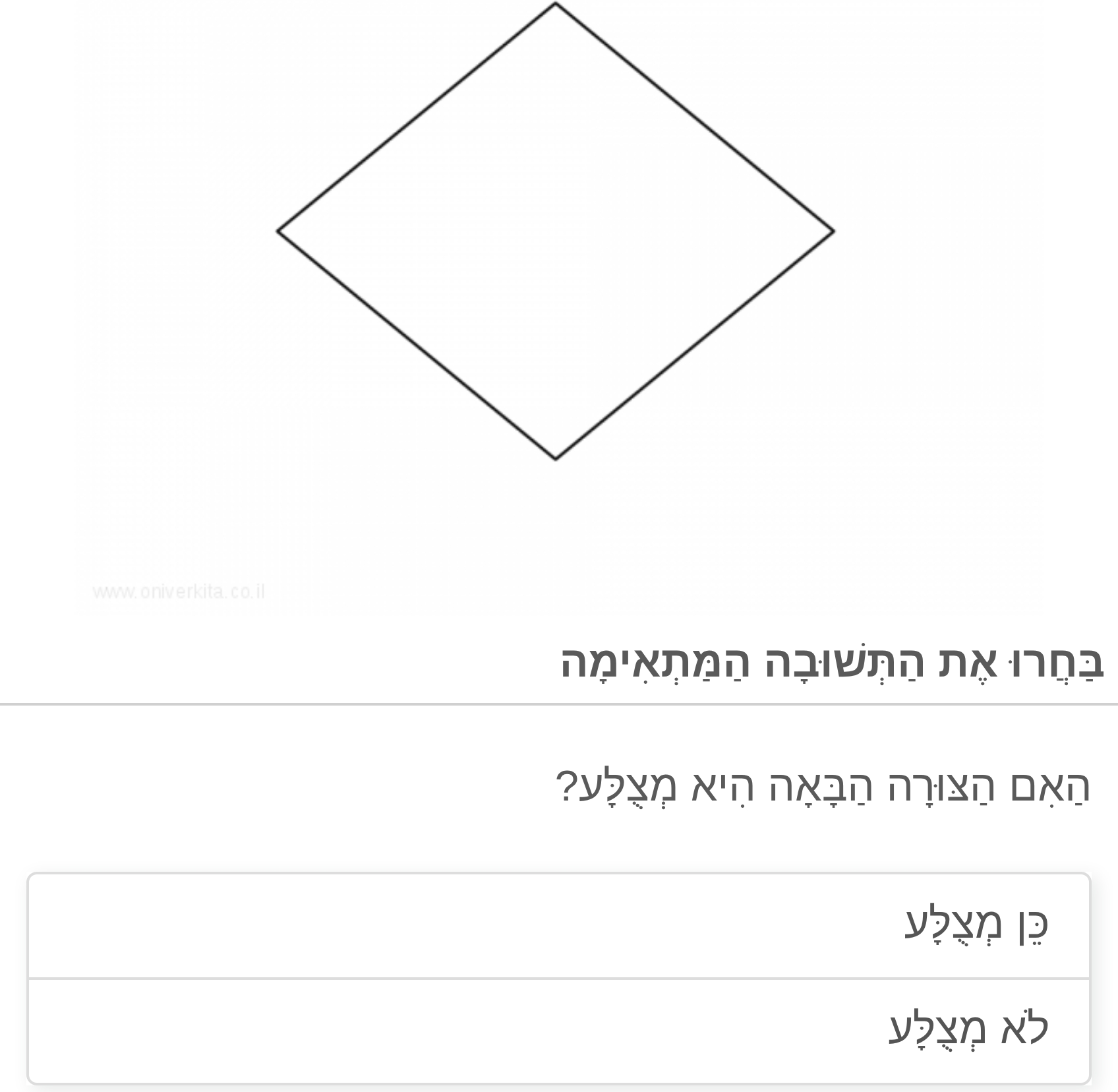 תמונה 5