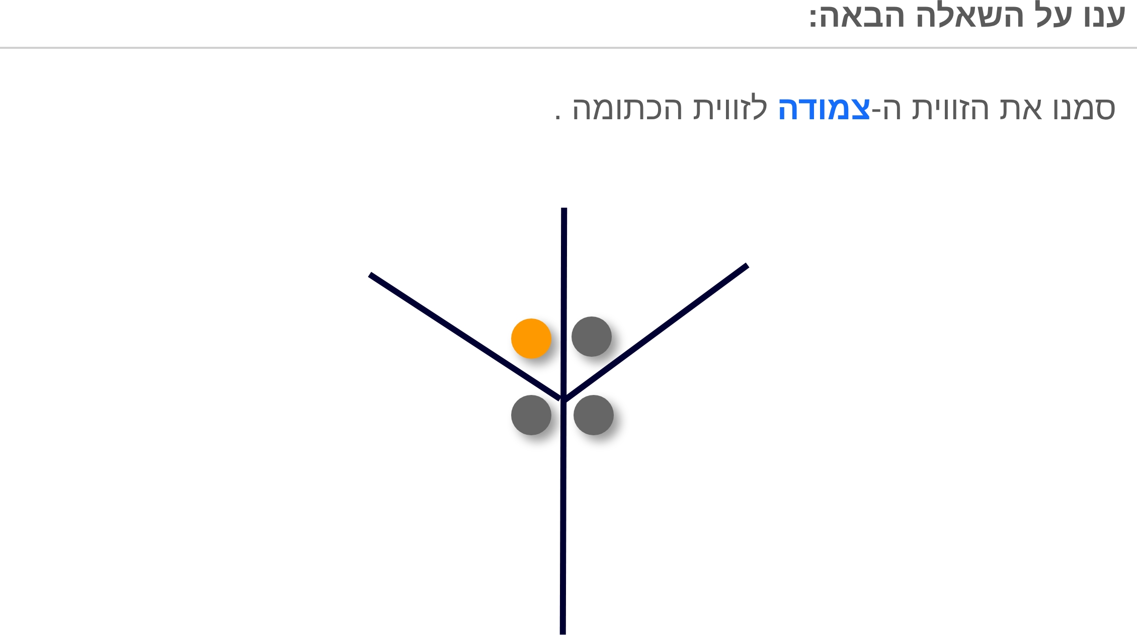 תמונה 5