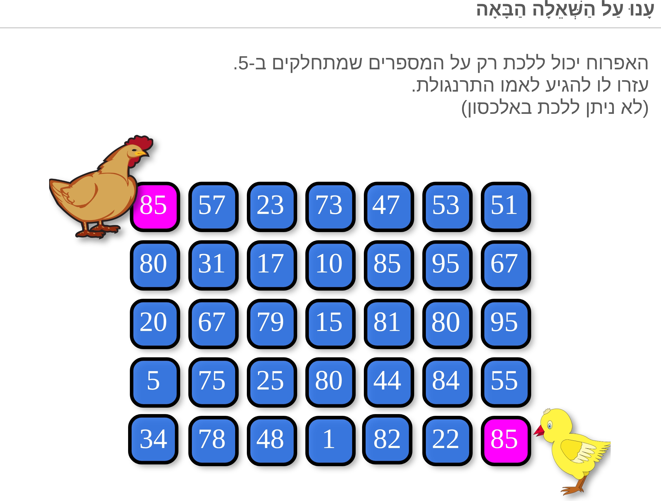 תמונה 4