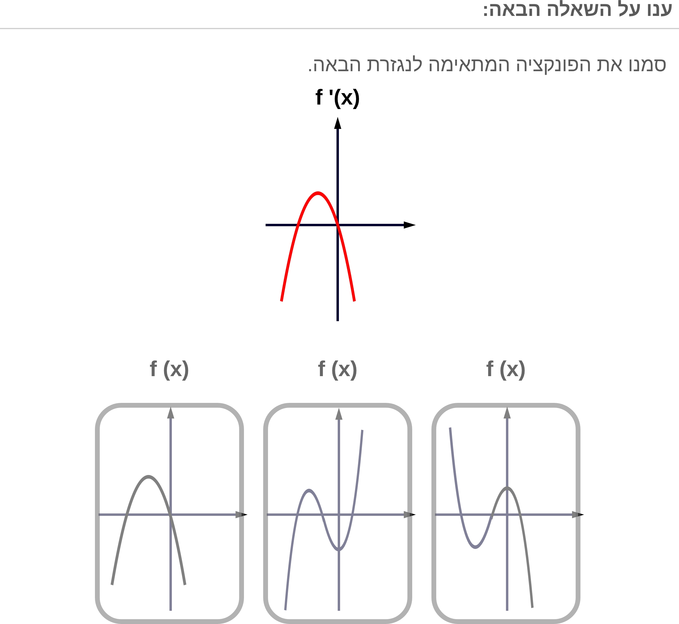 תמונה 5