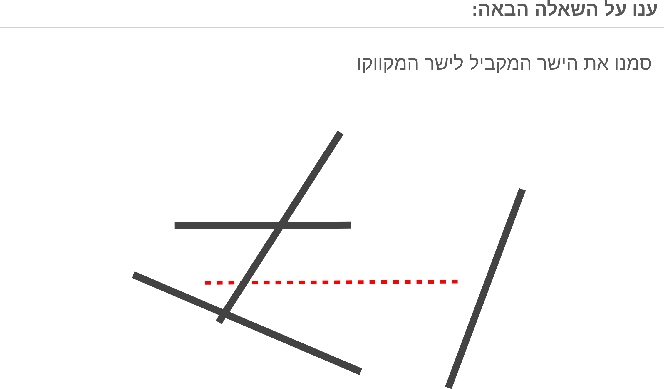 תמונה 3
